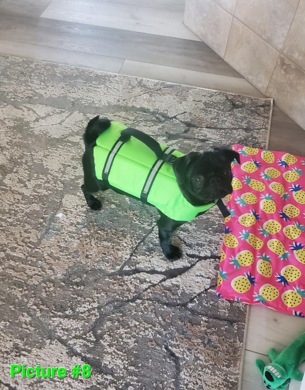 VIVAGLORY Dog Life Vest Rip Stop Dog Swim Vest, XL, Bright Yellow | High Visibility Ripstop for Puppy Cat Doggy, Life Jacket with Handle & Leash Ring for Boating & Swimming customer photo 1