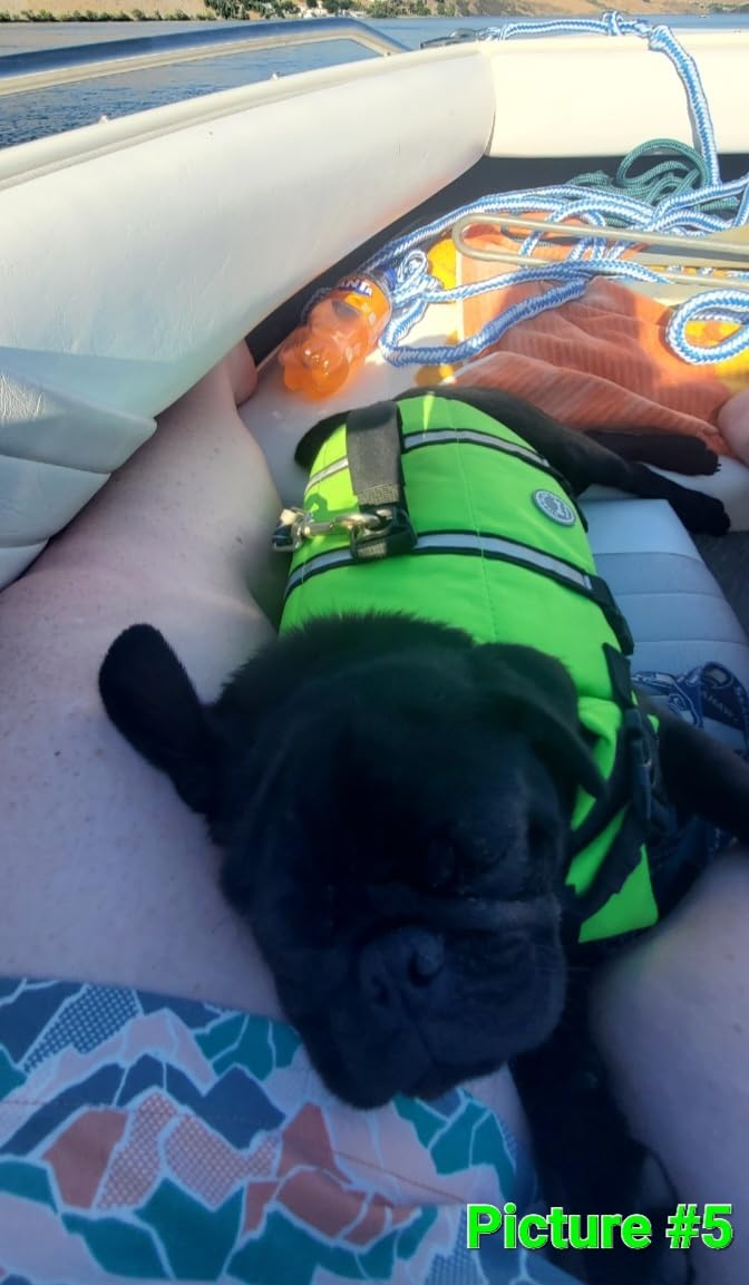 VIVAGLORY Dog Life Vest Rip Stop Dog Swim Vest, XL, Bright Yellow | High Visibility Ripstop for Puppy Cat Doggy, Life Jacket with Handle & Leash Ring for Boating & Swimming customer photo 2