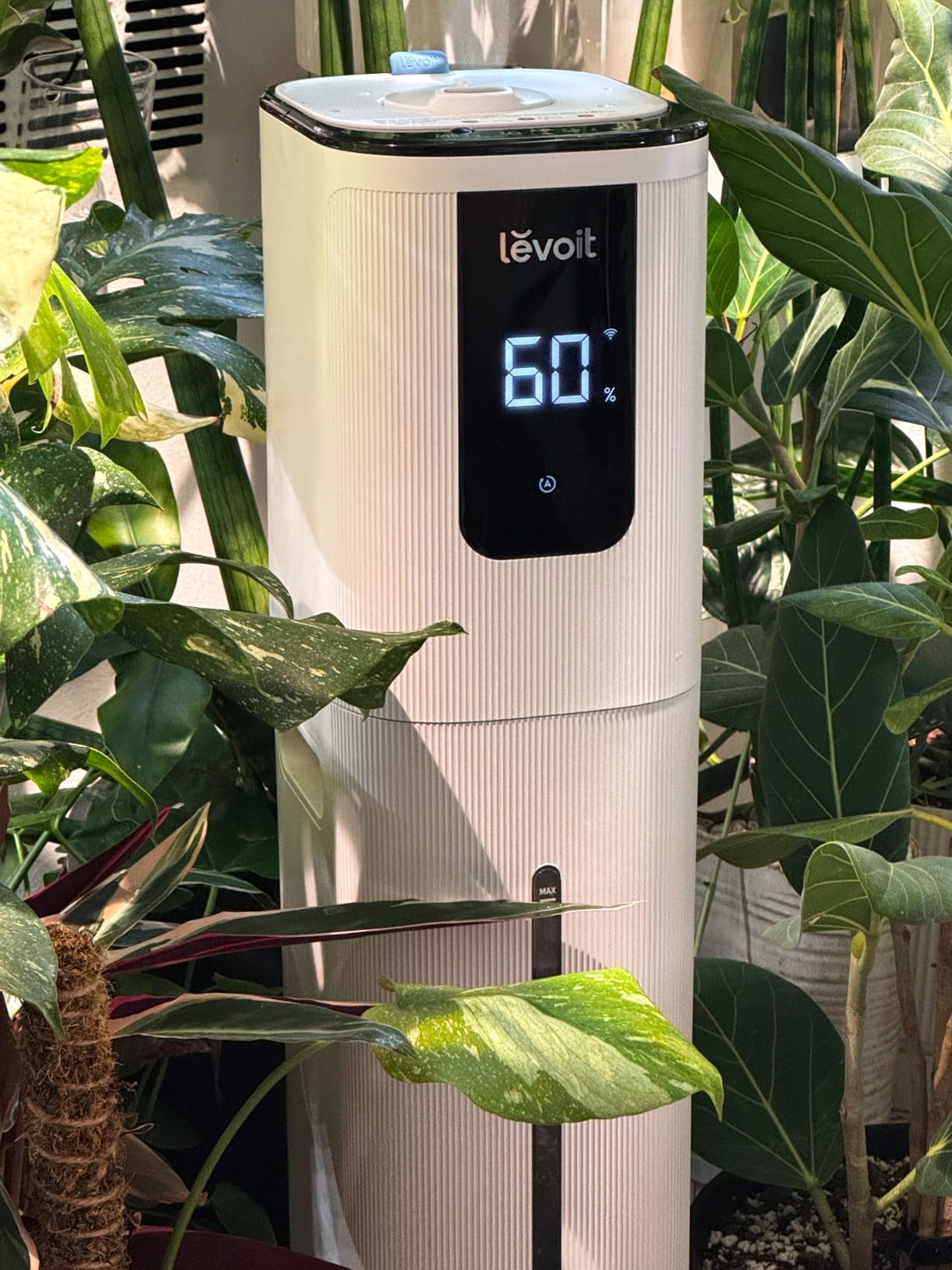 LEVOIT LV600S Smart Warm and Cool Mist Humidifiers for Home Bedroom Large Room, (6L) 753ft² Coverage, Quickly & Evenly Humidify Whole House, Easy Top Fill, App & Voice Control - Quiet Sleep Mode customer photo 1