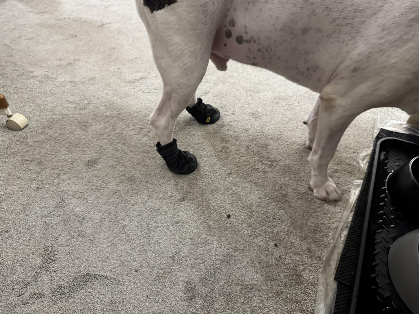 XSY&G Dog Shoes for Hot Pavement, Dog Snow Booties for Medium Dogs 4Pcs | Dog Boots & Paw Protectors Waterproof&Anti-Slip with Reflective for Hardfloors,Walking,Rugged Skid-Resistant Sole Black Size1 customer photo 1