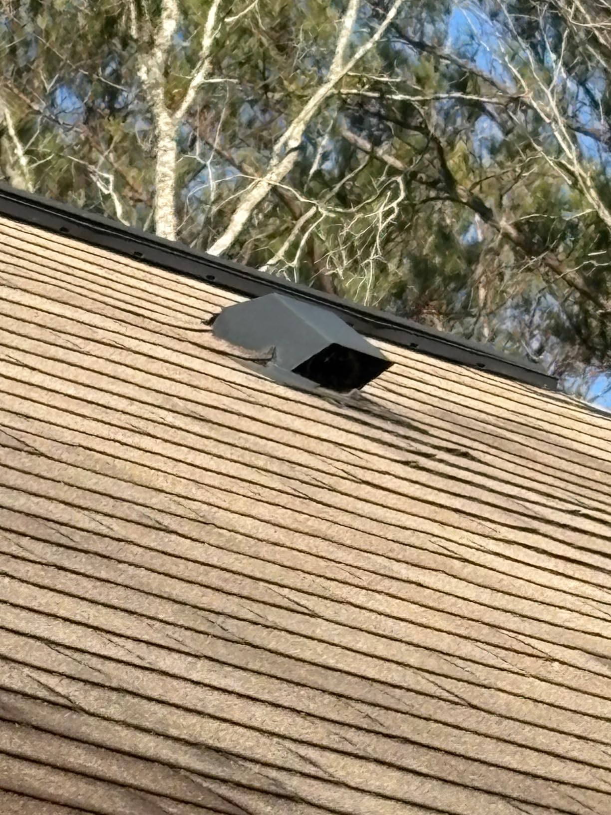 InOvate DryerJack Low Profile Roof Vent with Roof Neck (Black) customer photo 1