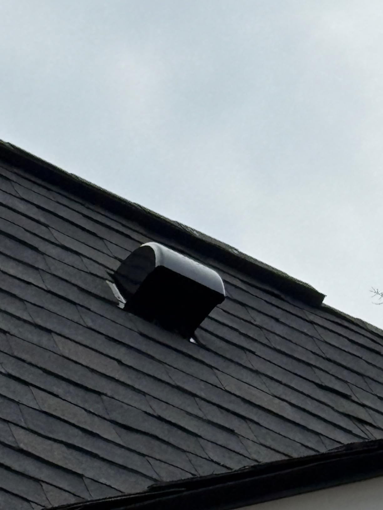 InOvate DryerJack Low Profile Roof Vent with Roof Neck (Black) customer photo 2