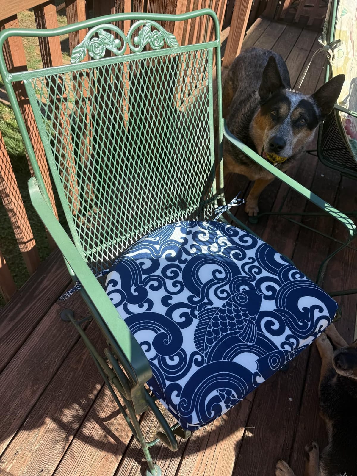 downluxe Outdoor Chair Cushions Set of 4 for Patio Furniture, Water-Resistant Patio Chair Cushions with Ties, High Density Foam Outdoor Seat Cushion, 17