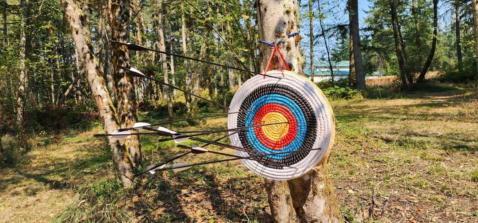 Archery Target - Backyard Straw Archery Target for Recurve Compound or Longbow - 20 Inch Traditional Bow Arrow Target for Kids Youth Adult Archery Hunting Practice customer photo 2