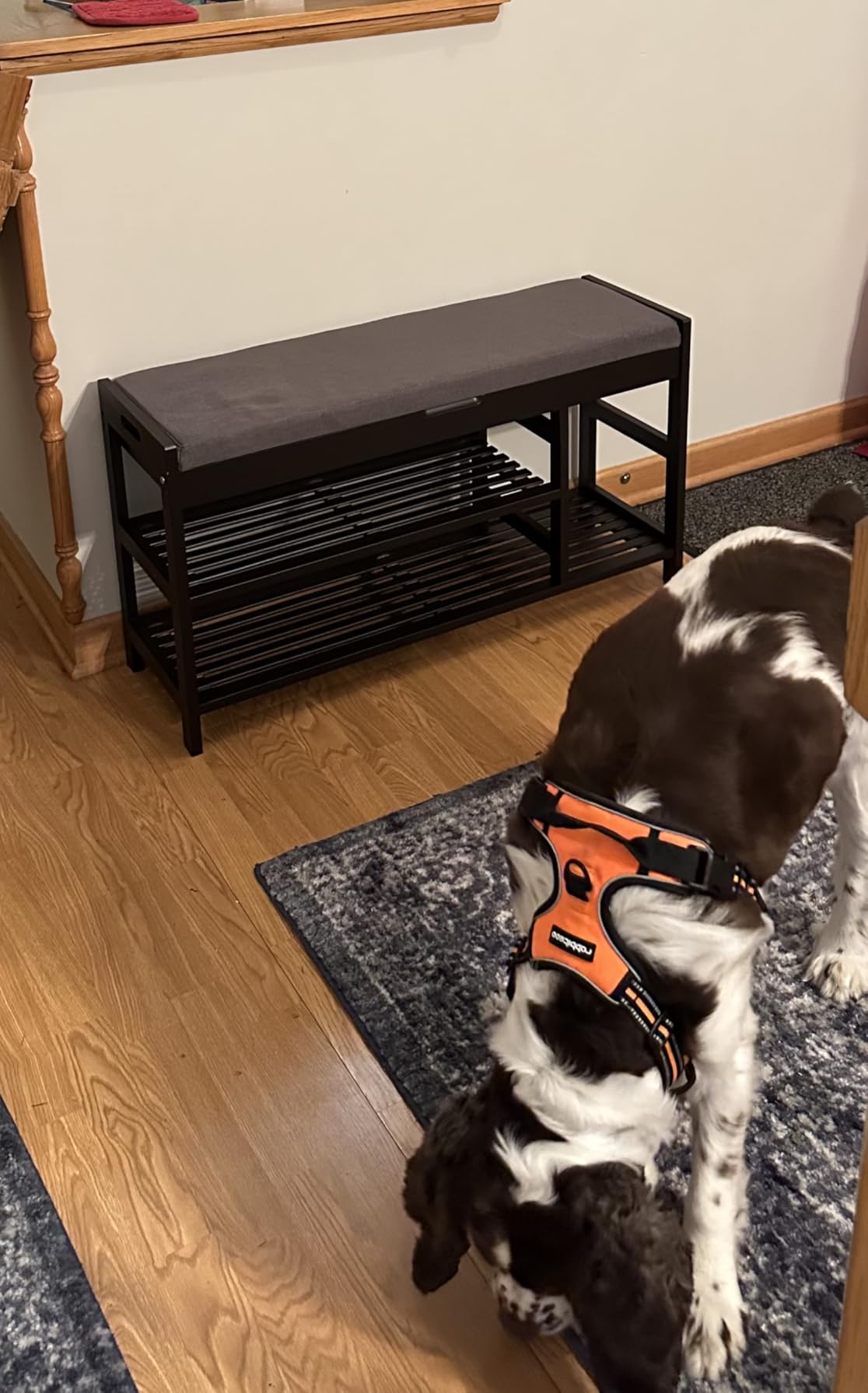 2-Tier Shoe Rack Bench with Flip-Top Storage, 36