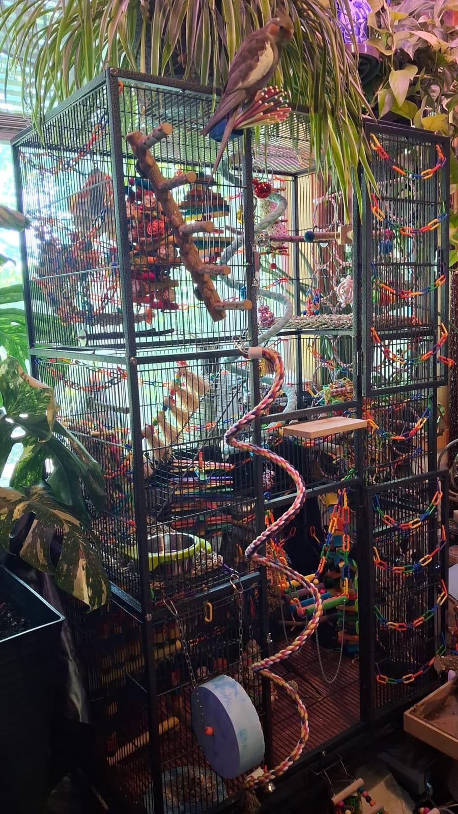 Yaheetech 69'' Extra Large Bird Cage Metal Parrot Cage w/Detachable Stand for Mid-Sized Parrots Cockatiels Conures Parakeets Lovebirds Budgie Finch, White customer photo 1