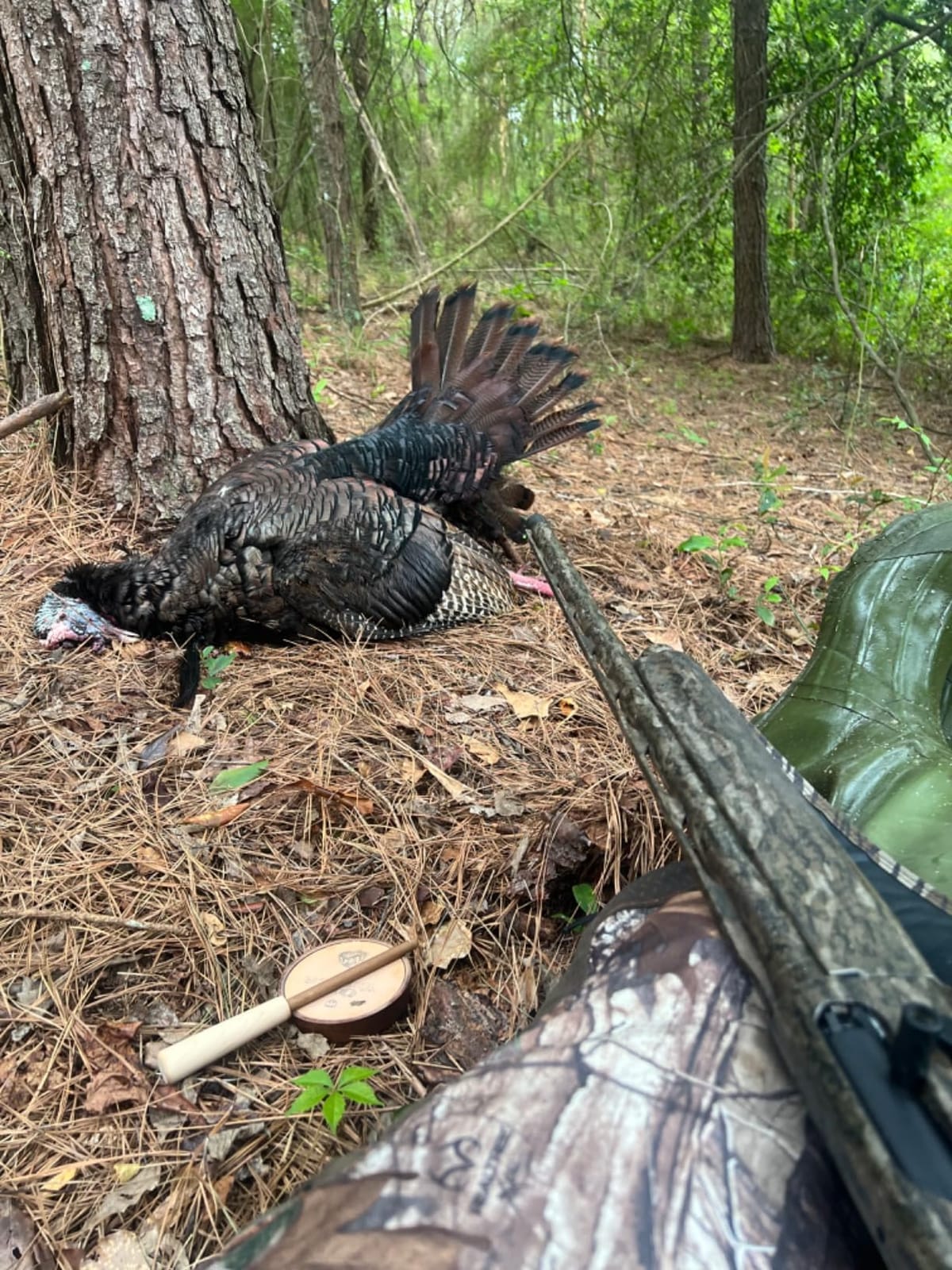 Primos Hunting Lil Gobstopper Hen and Jake Combo Decoy customer photo 2