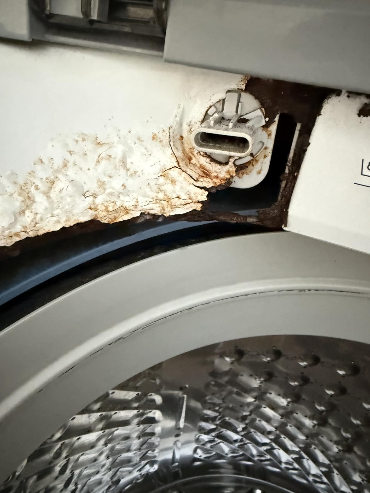 WF45T6000WPR White Front Load Laundry Package customer photo 2