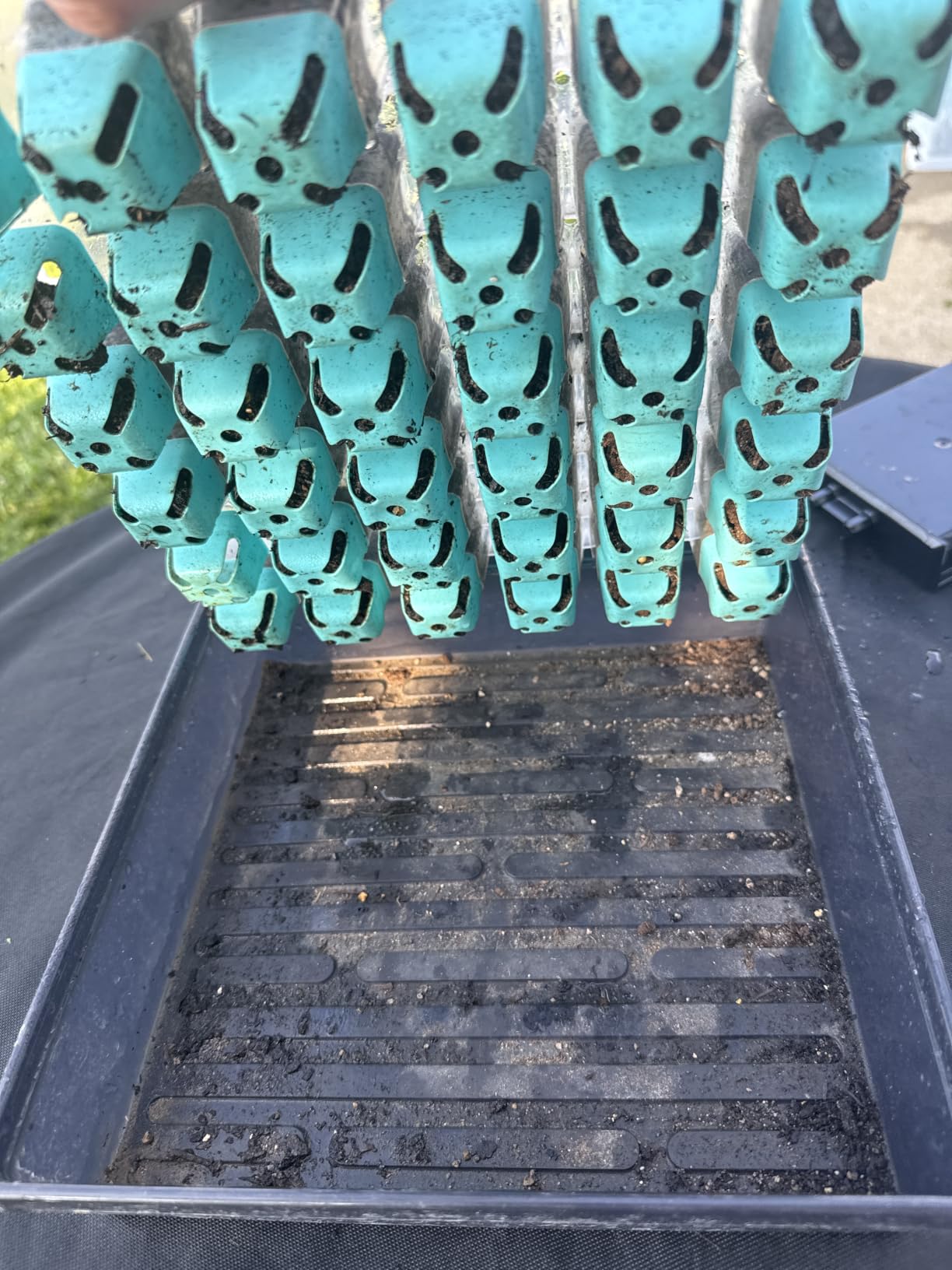Burpee SuperSeed Seed Starting Tray | 36 Cell Reusable Seed Starter Tray | for Starting Vegetable, Flower & Herb Seeds | Indoor Grow Kit for Plant Seedlings | for Germination Success customer photo 2