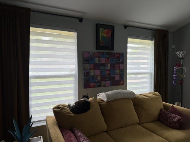 Joydeco Cordless Zebra Blinds for Windows, Dual Layer Free-Stop Zebra Shades Privacy Light Control for Day and Night, Light Filtering Sheer Blinds for Indoor Windows, Home (35