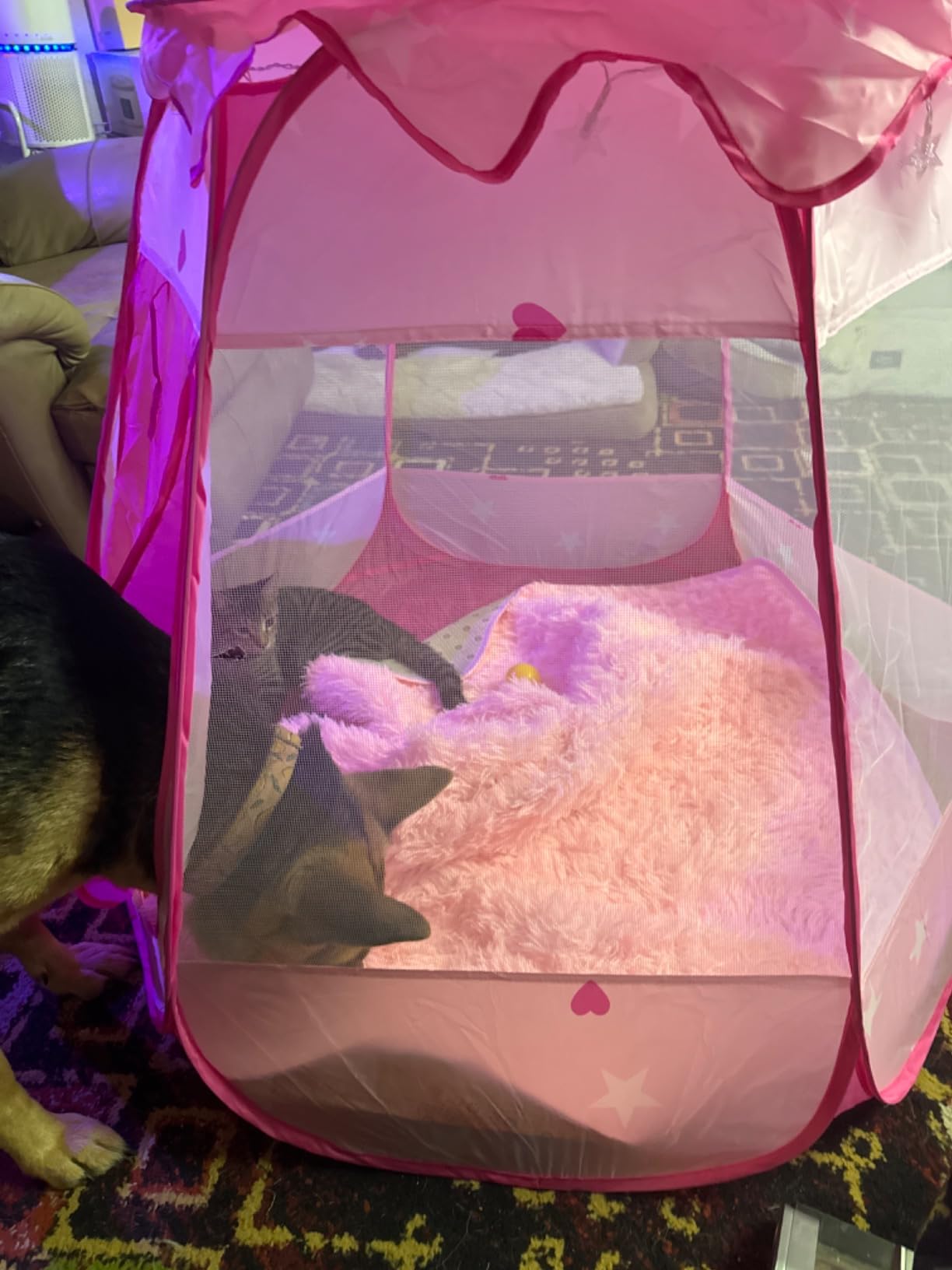 DISHIO Ball Pits with 50 Balls, Pop up Tents for Kids with Star Lights | Ball Pit for Toddlers, Princess Tent Toy for yrs Baby Birthday Gifts for Girls, Easy to Assemble and Store (50 Balls Included) customer photo 1