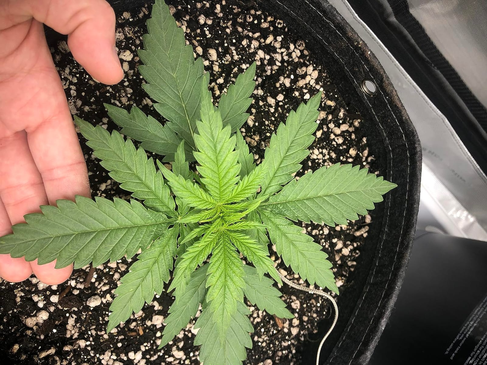 AC Infinity AI Grow System 3x3, 3-Plant Kit w/Self-Learning AI Controller | Dynamic Airflow & LM301H LED Lighting Control, 2000D Mylar Tent w/Lab-Tested Reflectivity, Largest Zippered Window customer photo 2
