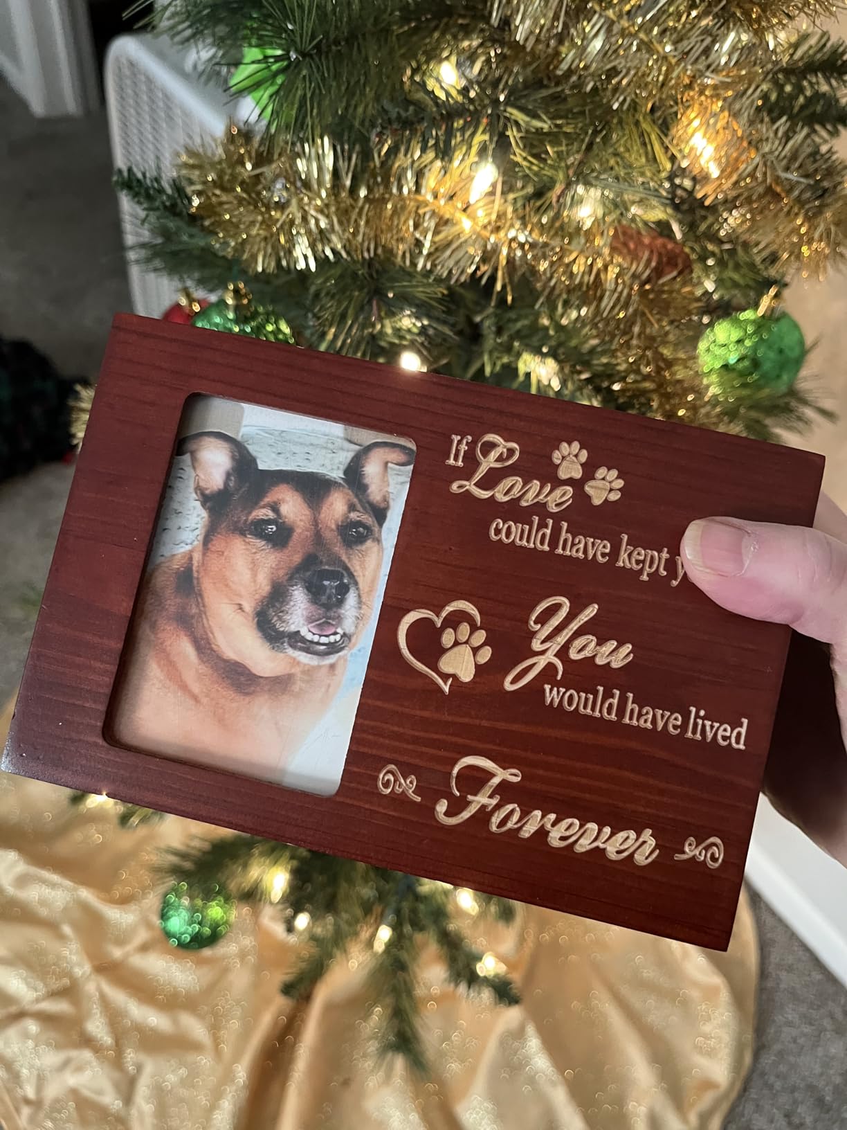 DGDCDV Pet Memorial Urns for Dogs or Cats Ashes with Photo Frame customer photo 1
