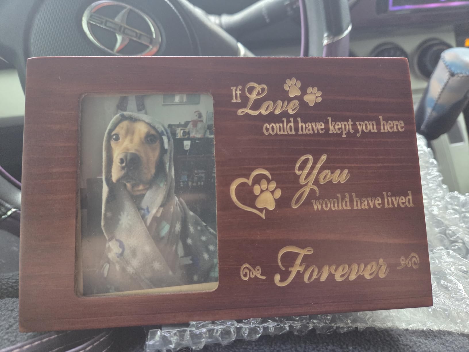 DGDCDV Pet Memorial Urns for Dogs or Cats Ashes with Photo Frame customer photo 2