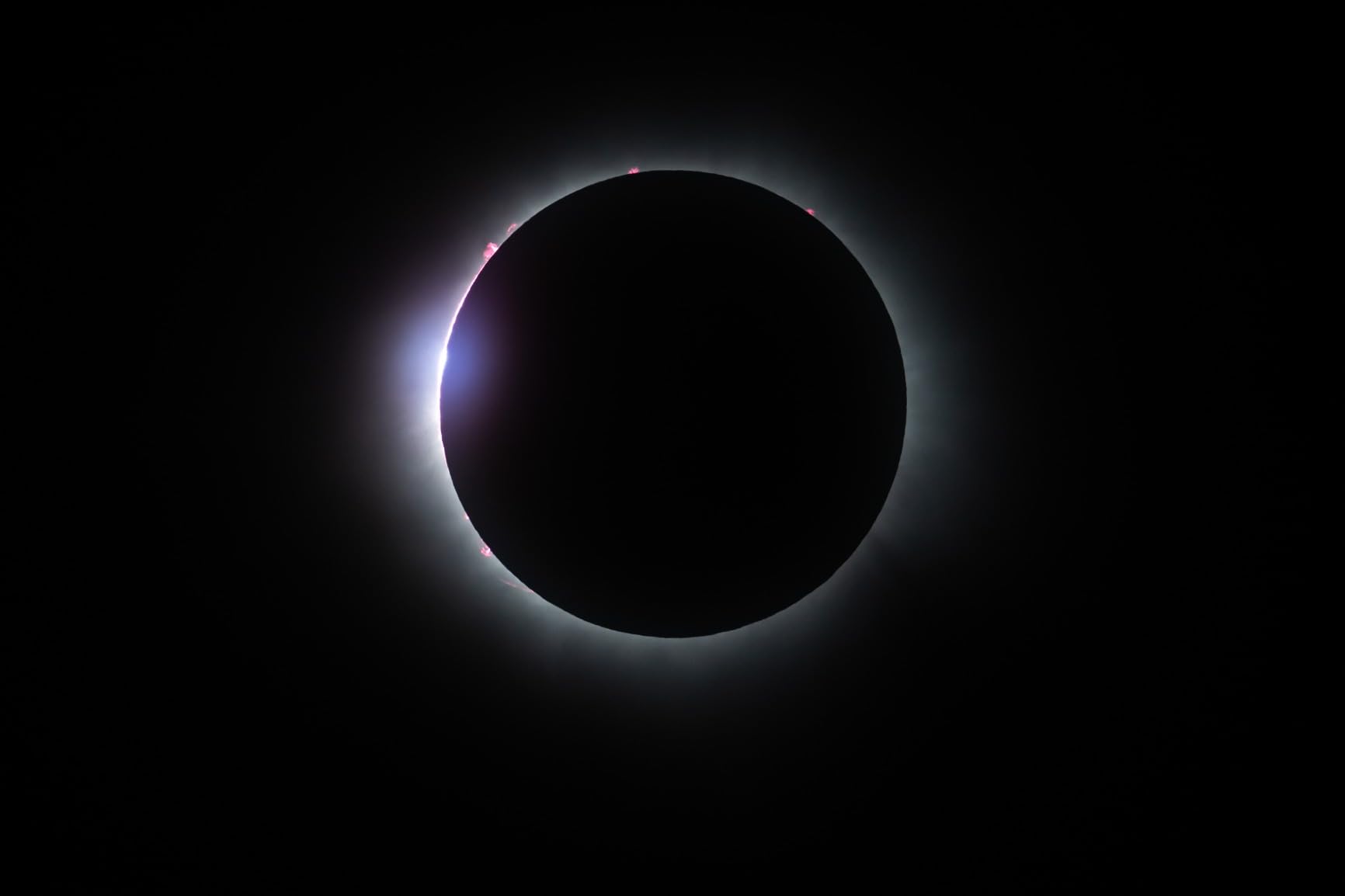 NIKKOR Z 800mm f/6.3 VR S customer photo 2