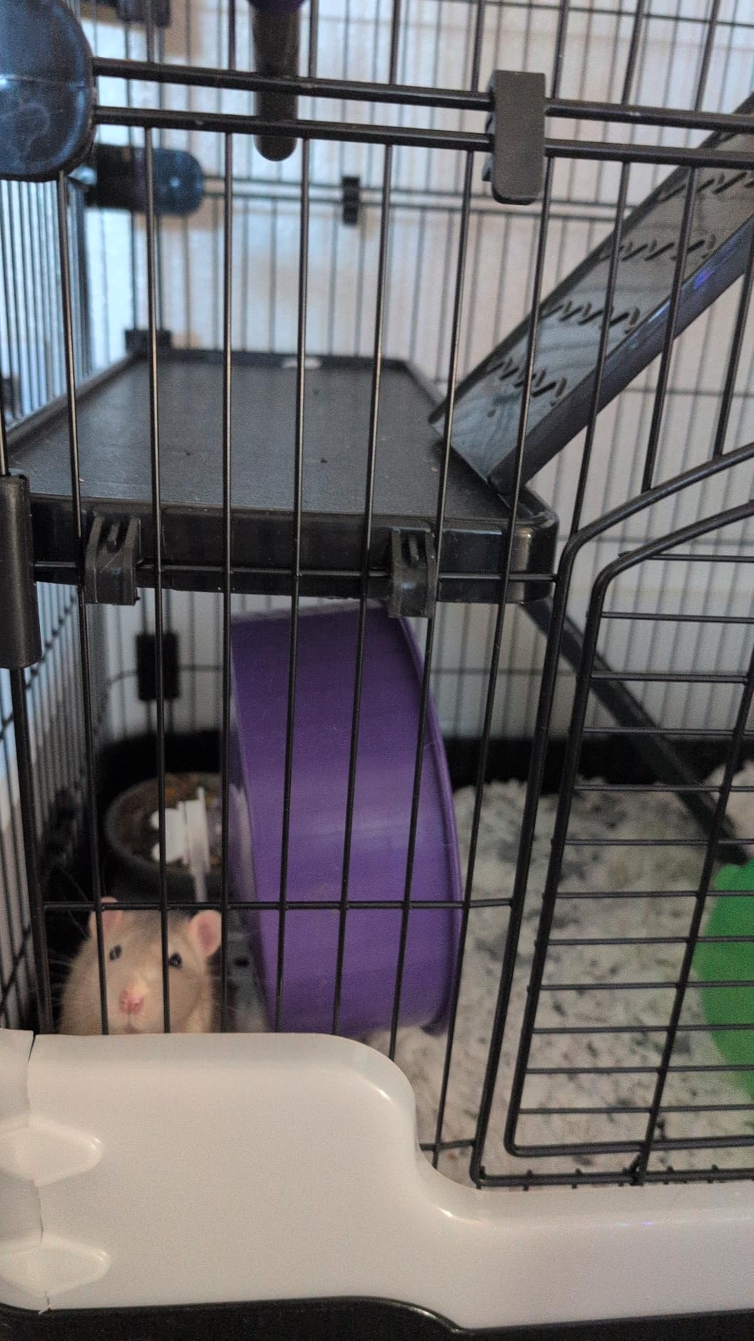 Homey Pet Rat Cage, Small Animal Cage for Ferret, Chinchilla, Guinea Pig customer photo 1