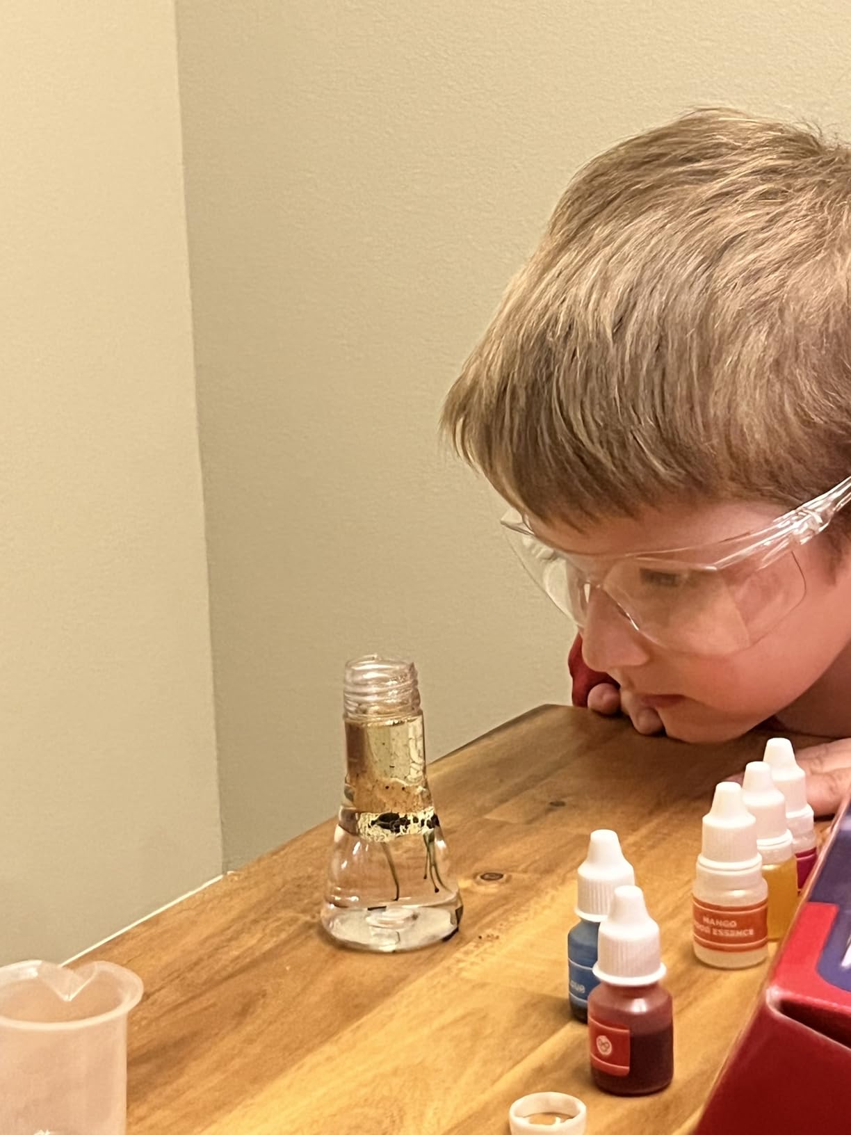 Doctor Jupiter My First Science Experiments Kit for Kids Ages 4+ customer photo 1