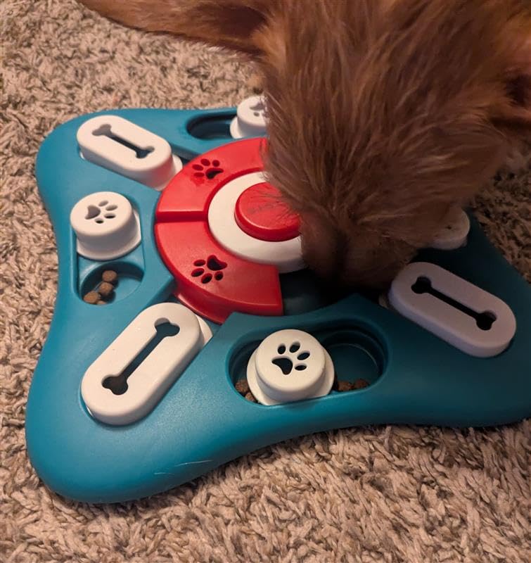PETSTA Dog Puzzle Toys, Treat Dispensing Dog Enrichment Toys for IQ Training and Brain Stimulation, Interactive Mentally Stimulating Toys as Gifts for Puppies, Cats, Dogs customer photo 2