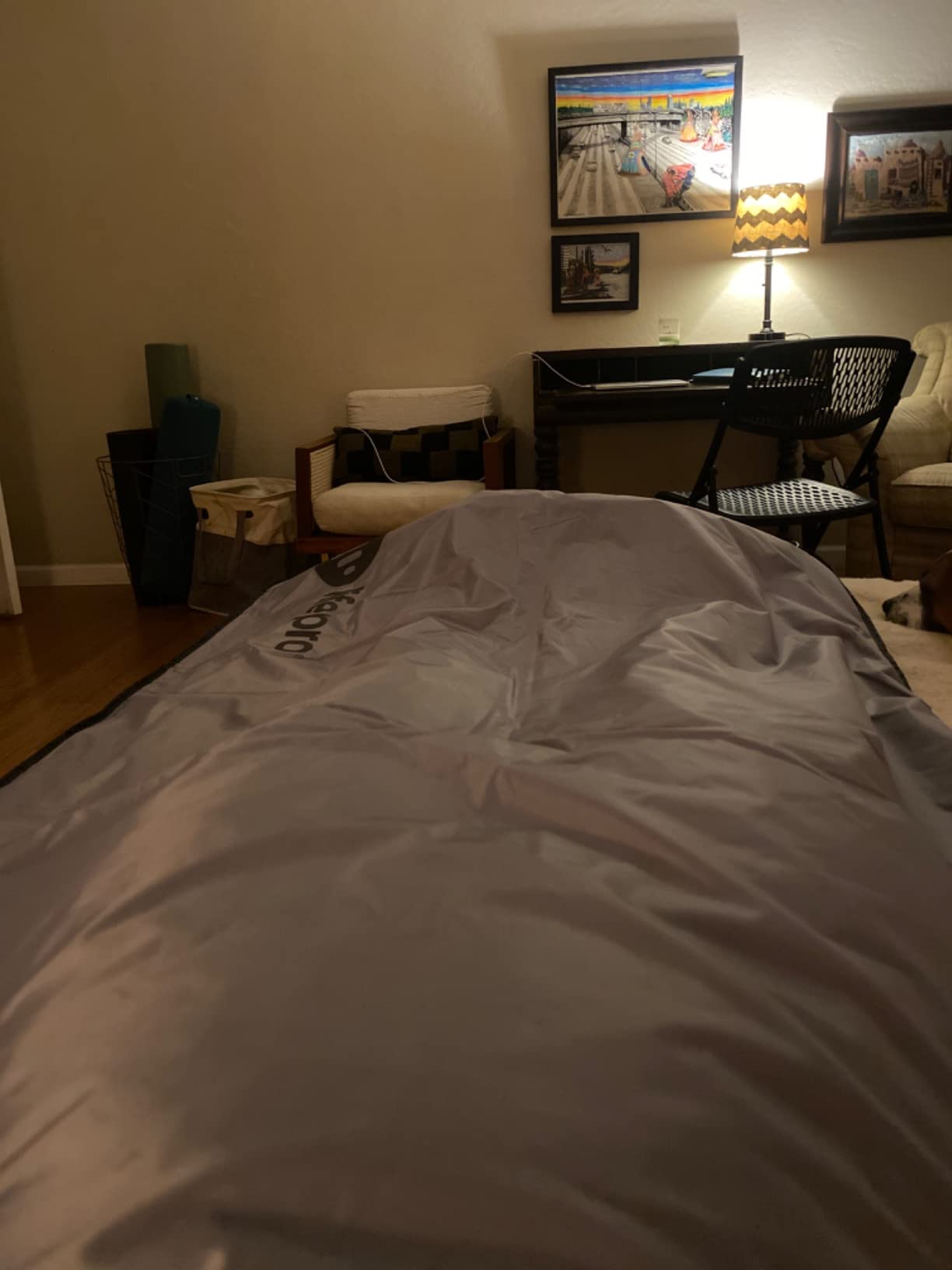 LifePro BioRemedy Infrared Sauna Blanket for Home Relaxation Detox | Portable Low EMF Carbon Fiber Dual-Layer, Adjustable 86-158°F, 20-60 Min Timer, Far Infrared Full Body Relaxation customer photo 1