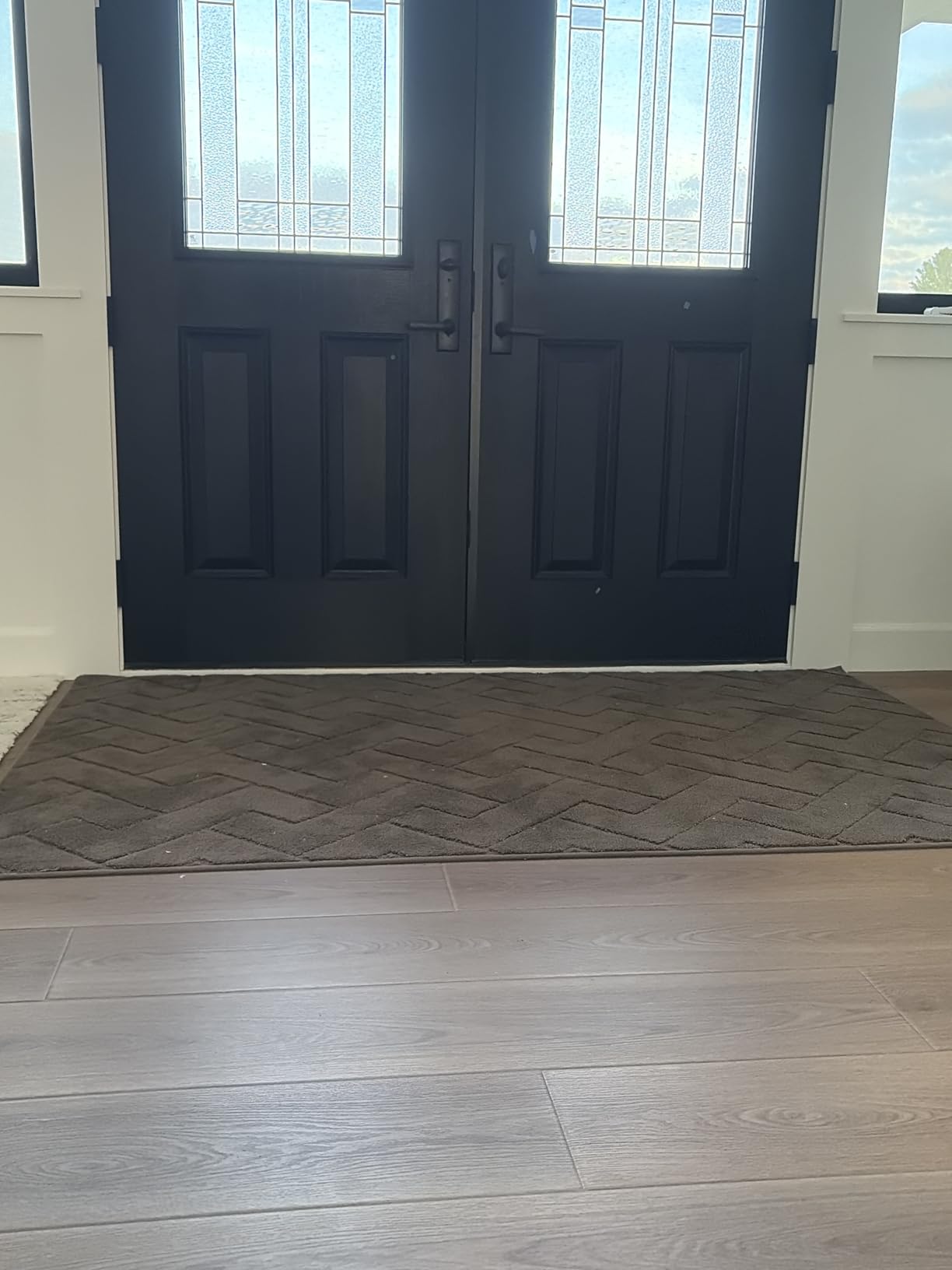 PURRUGS Dirt Trapping Door Mat Indoor Entrance, 20