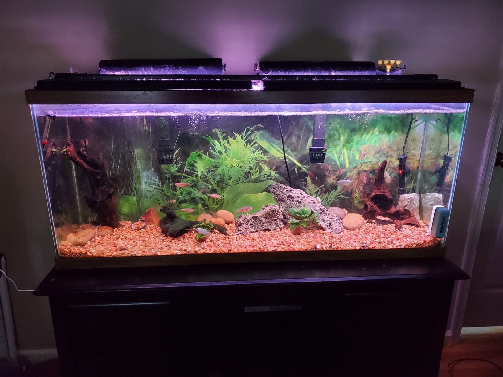 hygger 60W Smart Aquarium Light, Bluetooth LED Light with App Control, Full Spectrum Fish Tank Light with 24/7 Lighting Cycle, 5 Modes, Adjustable Timer, for 48