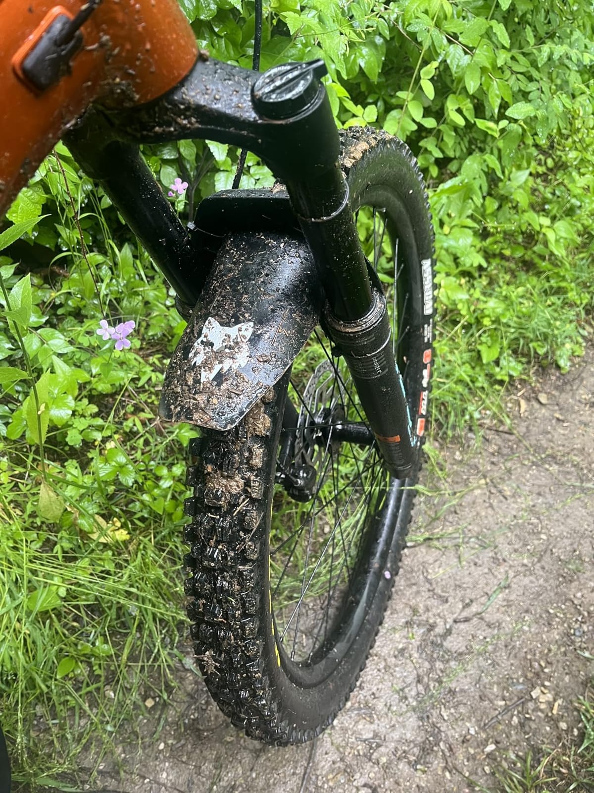 Fox Racing Mountain Bike Mud Guard customer photo 2