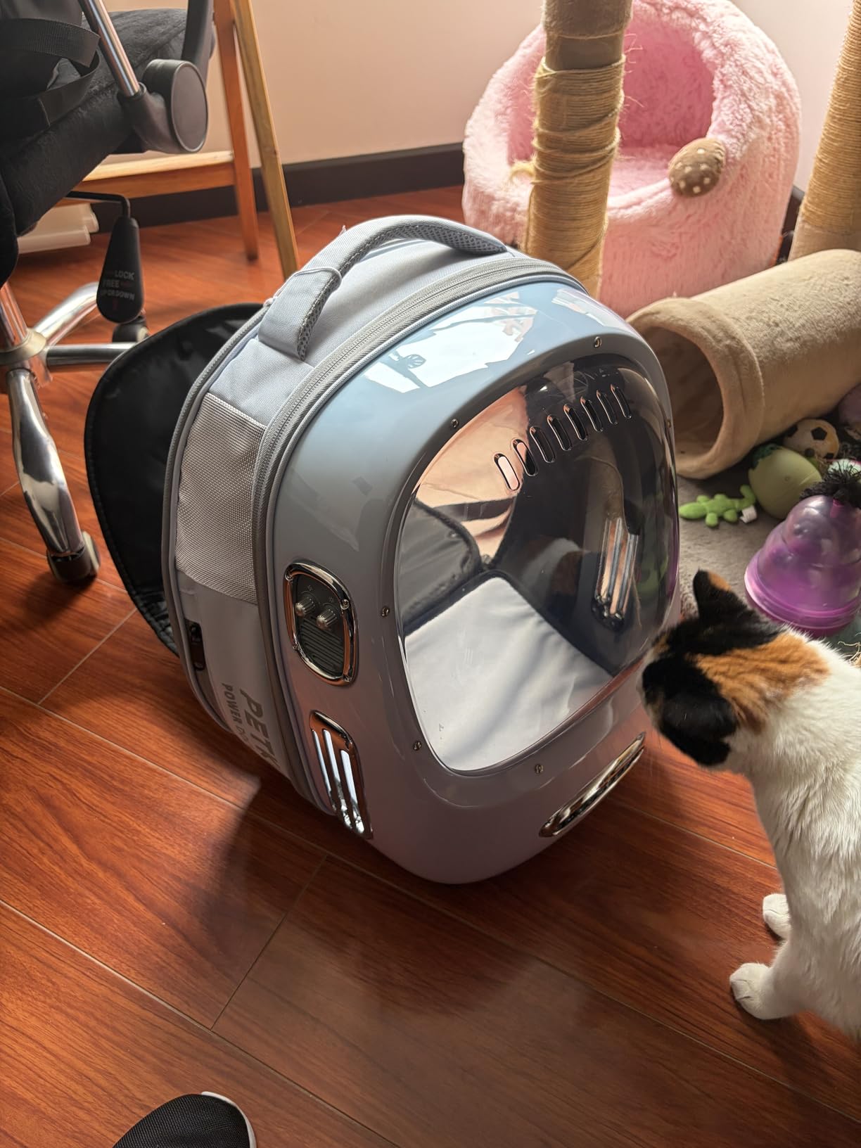 PETKIT Cat Backpack Carrier for Kitty Small Dog with Inbuilt Fan & Light - Airline-Approved Pet Backpack Bubble, Detachable Dog Backpack with Padded Strap for Travel, Hiking, Walking & Outdoor customer photo 1