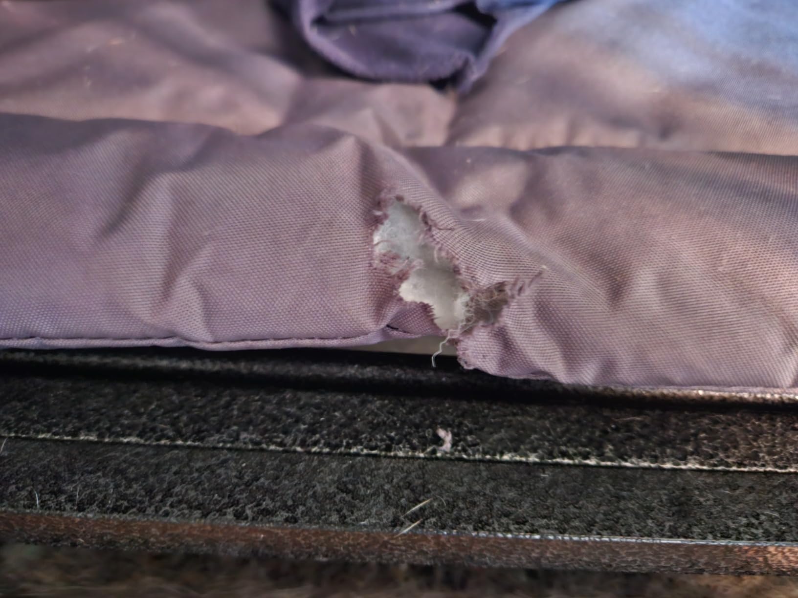 Kuranda Orthopedic Canvas Dog Bed Pad - Durable Cordura® Fabric with Quilted Padding - X-Large - 44