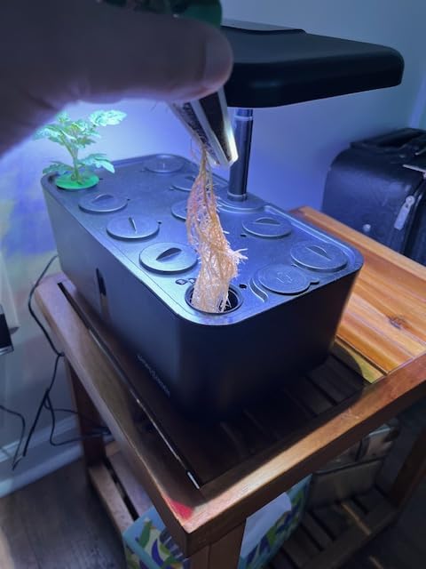 Indoor Garden Hydroponics Growing System: 10 Pods Kit with LED Plant Germination Kit Herb Vegetable Growth Lamp Countertop, Hydroponic Planter Grower customer photo 2