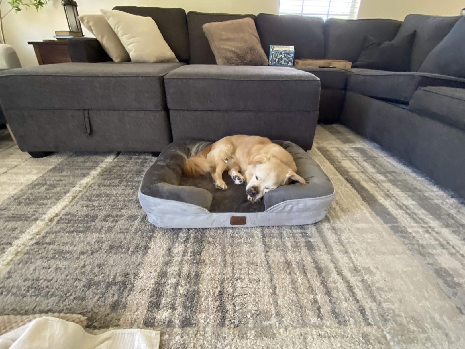 Bedsure Orthopedic Dog Beds for Small Dogs with Removable Washable Cover | 24