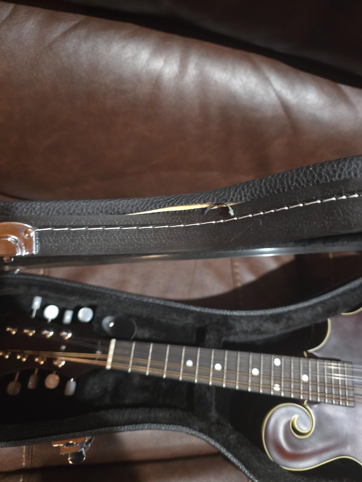 Ktaxon F-Style Mandolin Hard Case Deluxe Leather | Hard-Shell Carrying Case, Wooden Protective Case, Plush Interior customer photo 1