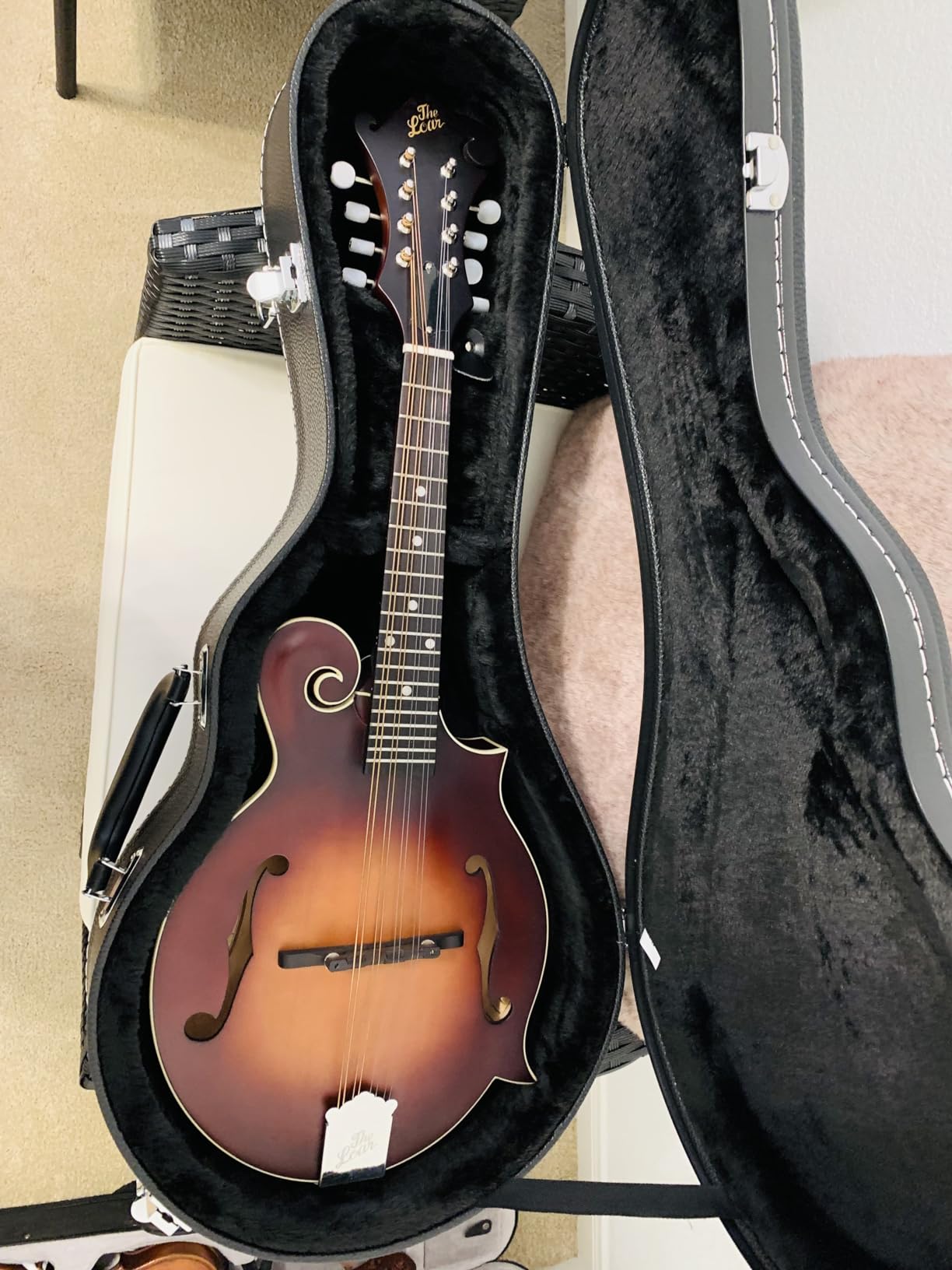 Ktaxon F-Style Mandolin Hard Case Deluxe Leather | Hard-Shell Carrying Case, Wooden Protective Case, Plush Interior customer photo 2