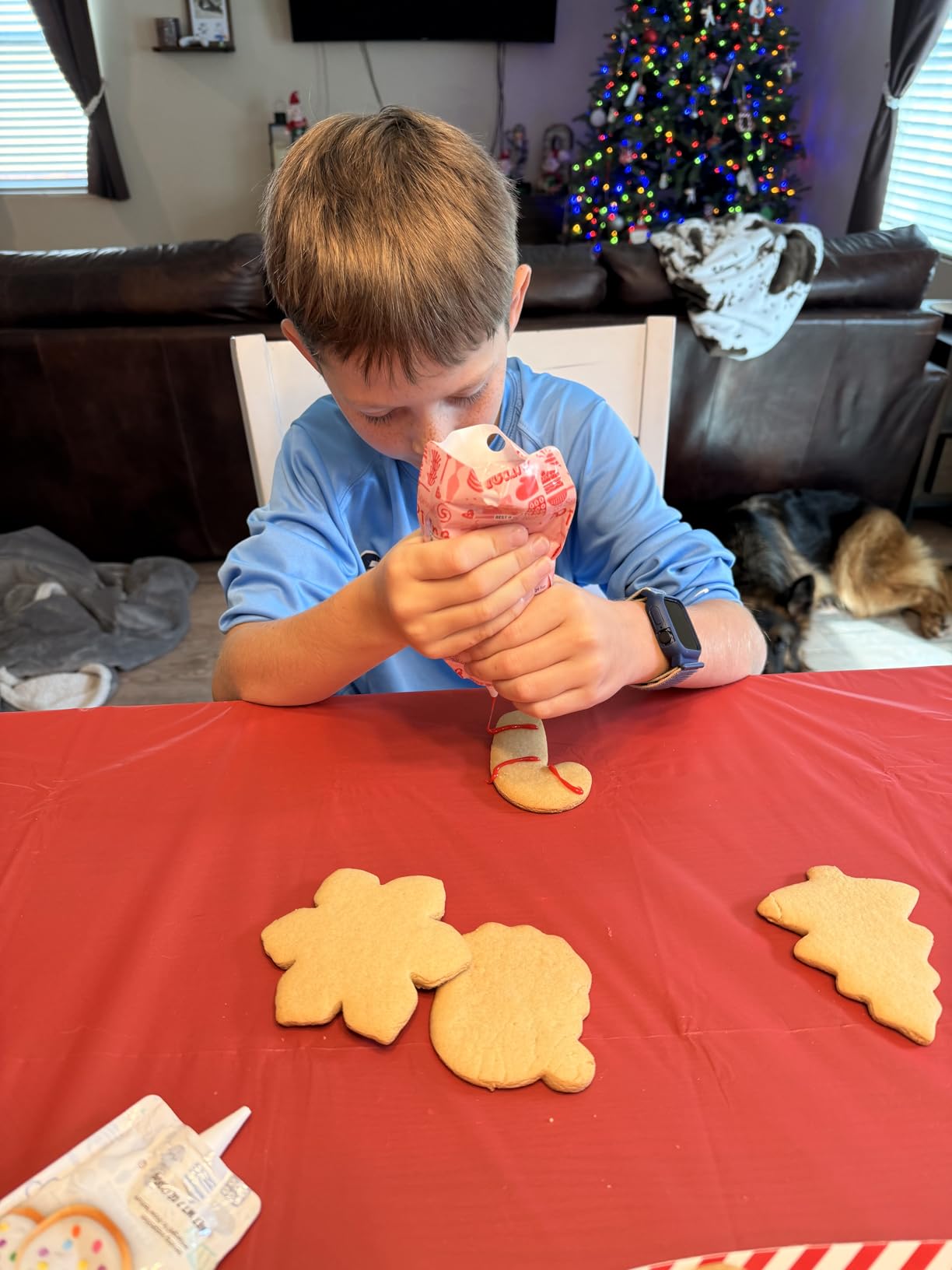 Large Christmas Cookie Cutters, 4