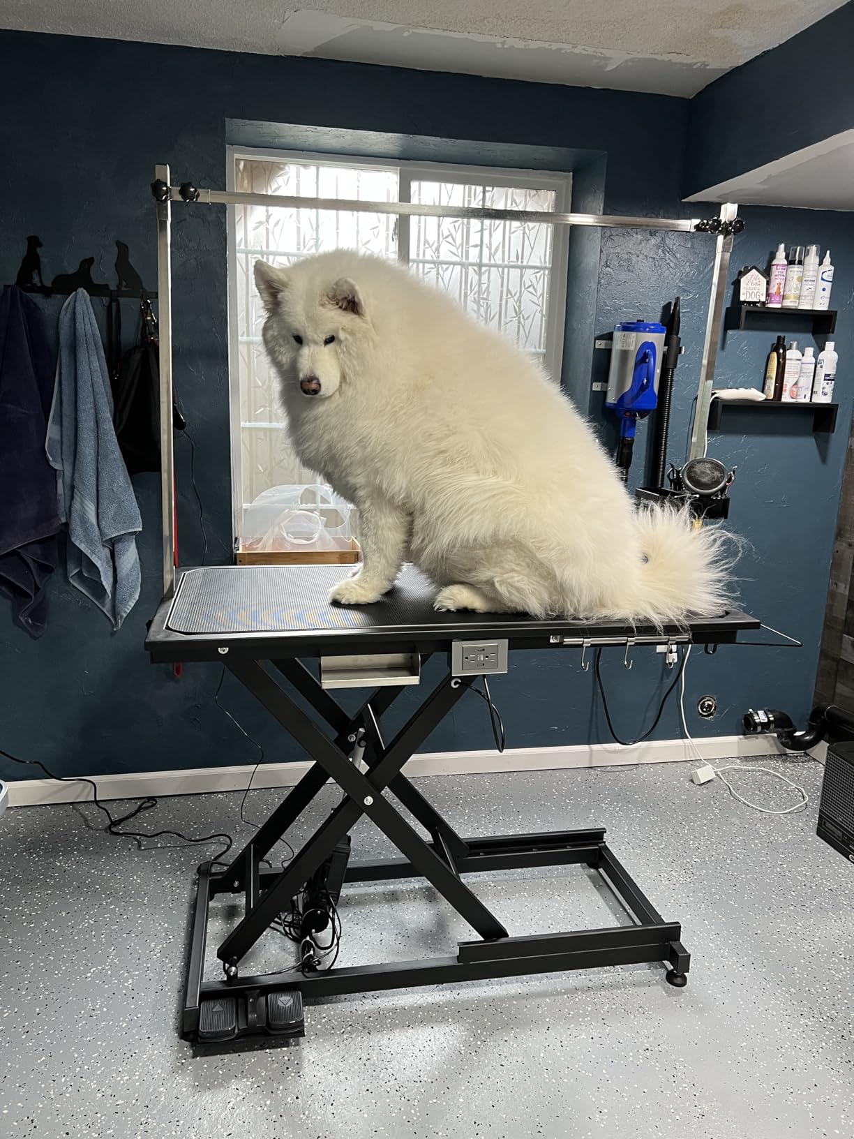 Upgrade Electric Pet Grooming Table Super Deluxe 50'' Heavy Duty Professional for Large Dogs with Overhead Arm, Anti-Skid Rubber Desktop Powerful Motor and Adjustable Height, Black customer photo 1