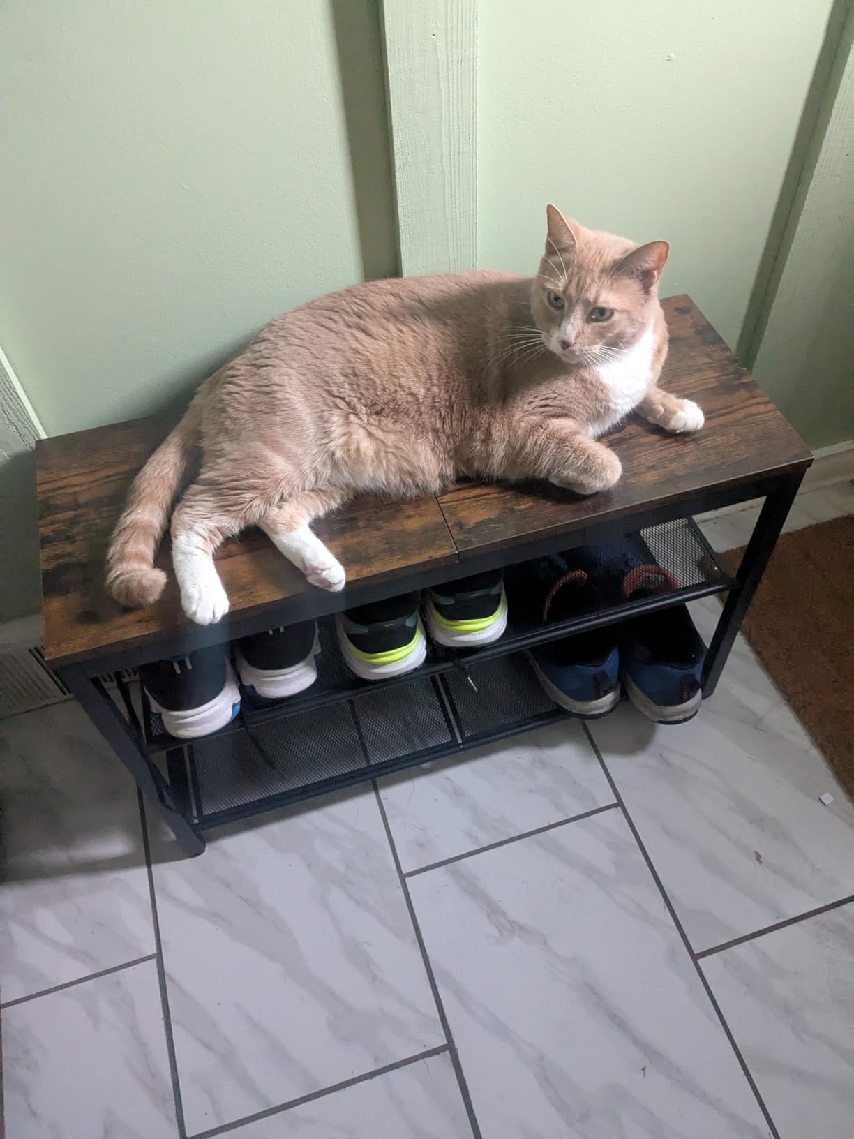 HOOBRO Shoe Bench, 3-Tier Shoe Rack, Industrial Shoe Organizer Storage Bench, 29.5 inches Entry Bench with Mesh Shelves, Rustic Brown customer photo 2