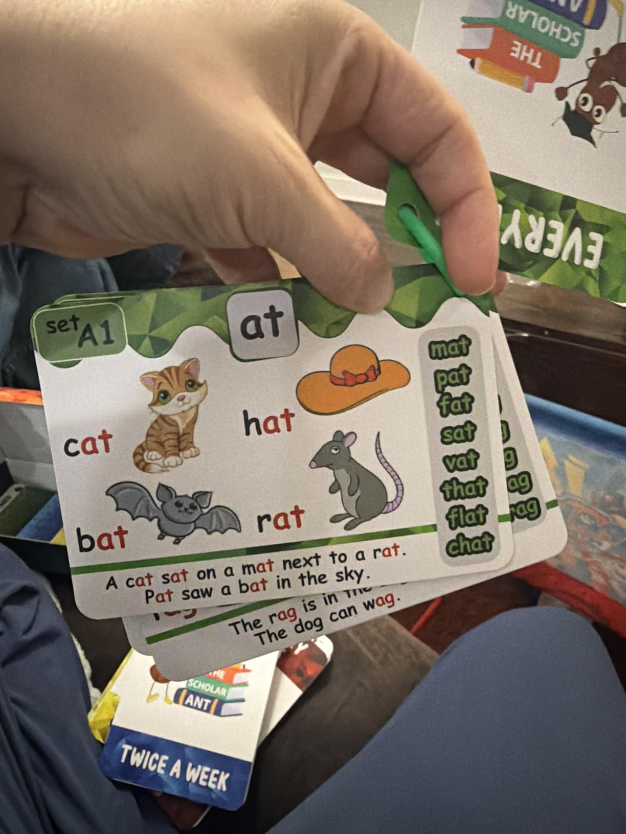 Phonics Flash Cards with Proven Spaced Repetition Learning System - Learn to Read in 20 Phonic Stages - Digraphs CVC Blends Long Vowel Sounds Phonics Games for Kids Ages 4-8 Kindergarten 1st 2nd Grade customer photo 2