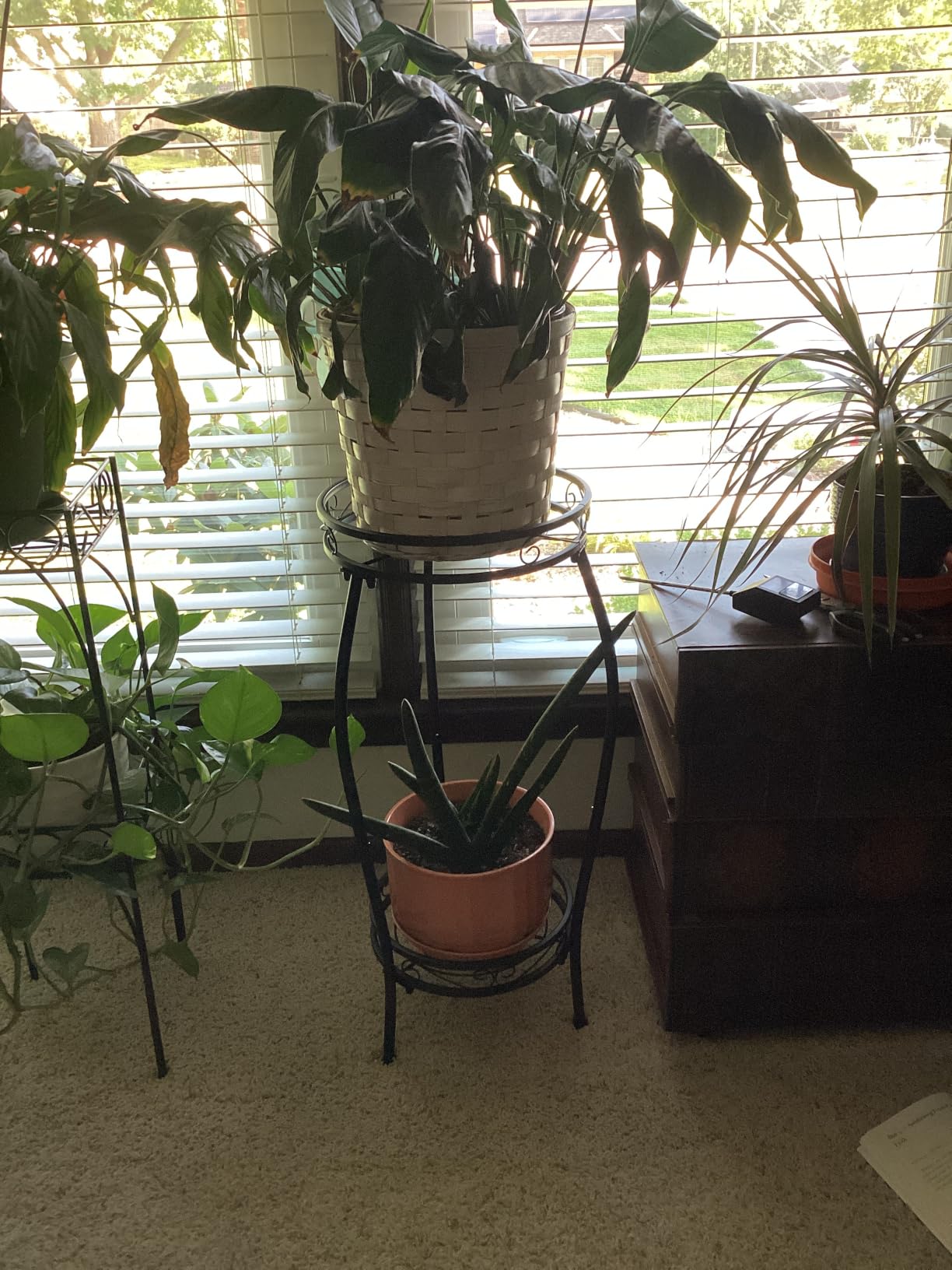 Kavlium Plant Stand Indoor Outdoor, Tall Black Metal, 2 Tier 27.1 Inch | Rustproof Metal, Stable 3-Leg Base, Heavy Duty 100 lb Capacity, Multiple Plant Rack Holder customer photo 2