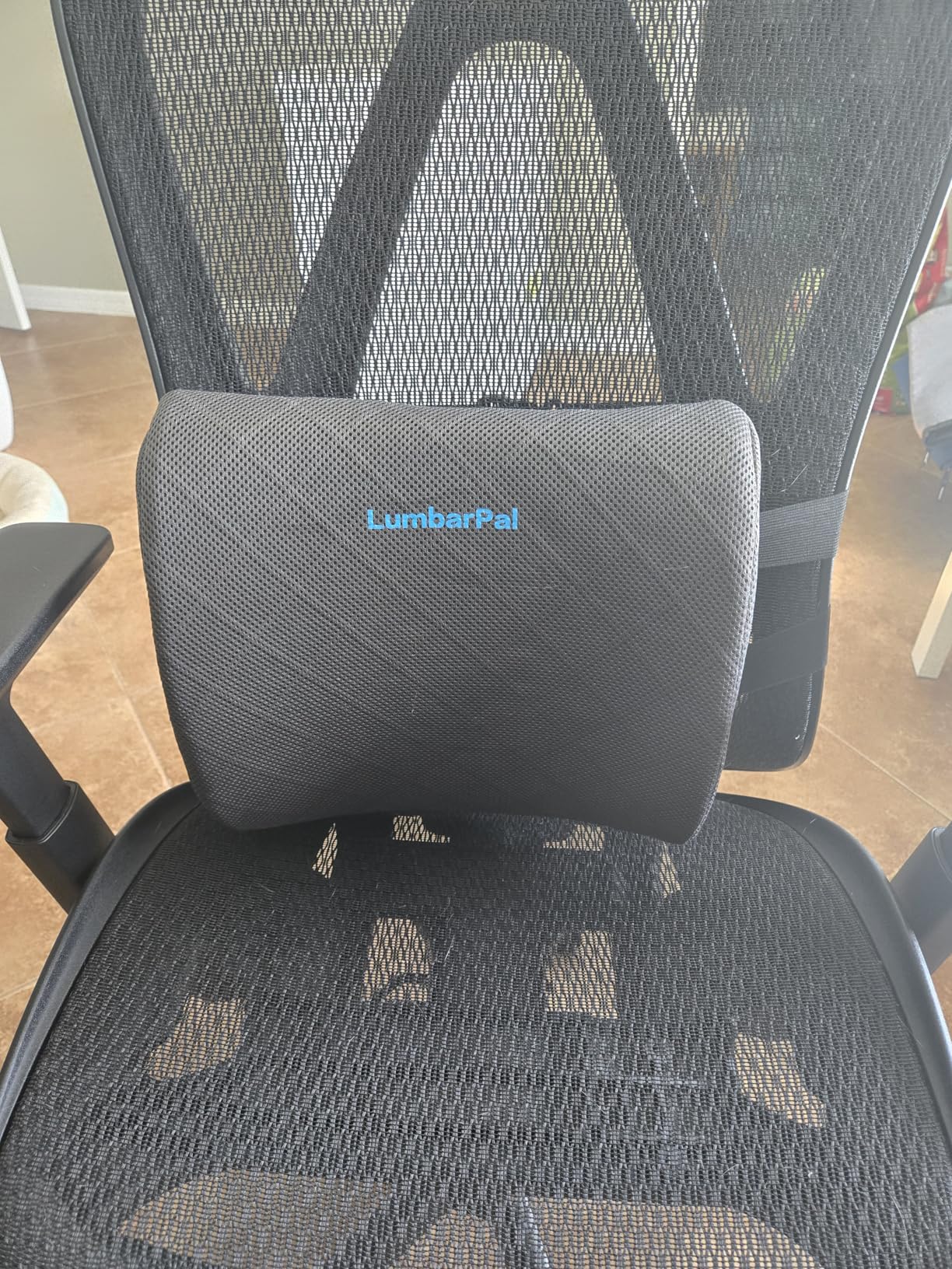 Lumbar Support Pillow for Office Chair, Memory Foam Back Cushion, Ergonomic Backrest for Car Seat, Washable Cover customer photo 1
