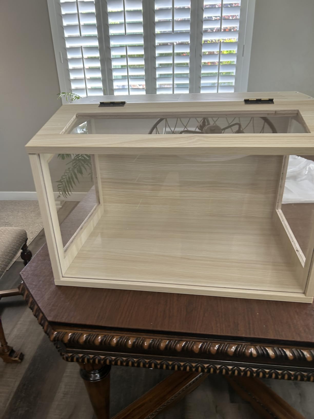 Prolee Hamster Cage Chewproof Wooden 40 Inch Guinea Pig Cages Mice and Rat Habitat Openable Top with Acrylic Sheets Solid Built customer photo 1