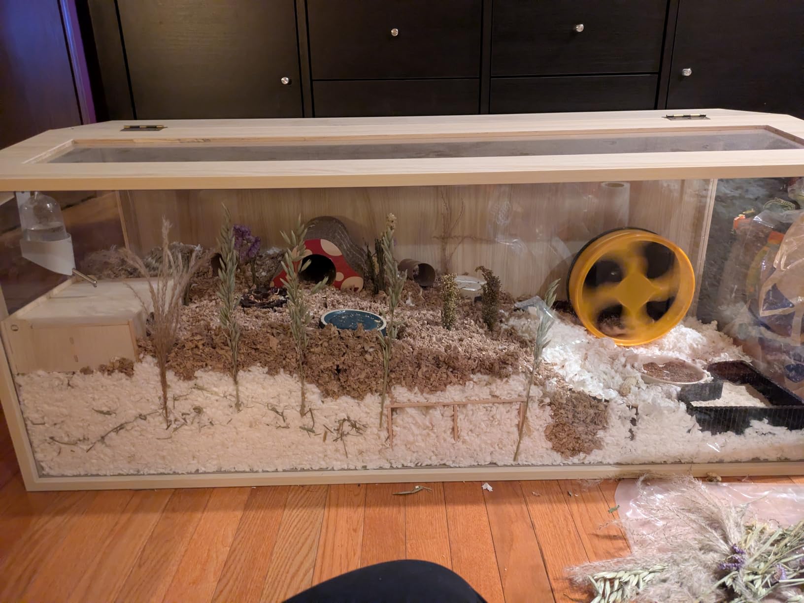 Prolee Hamster Cage Chewproof Wooden 40 Inch Guinea Pig Cages Mice and Rat Habitat Openable Top with Acrylic Sheets Solid Built customer photo 2