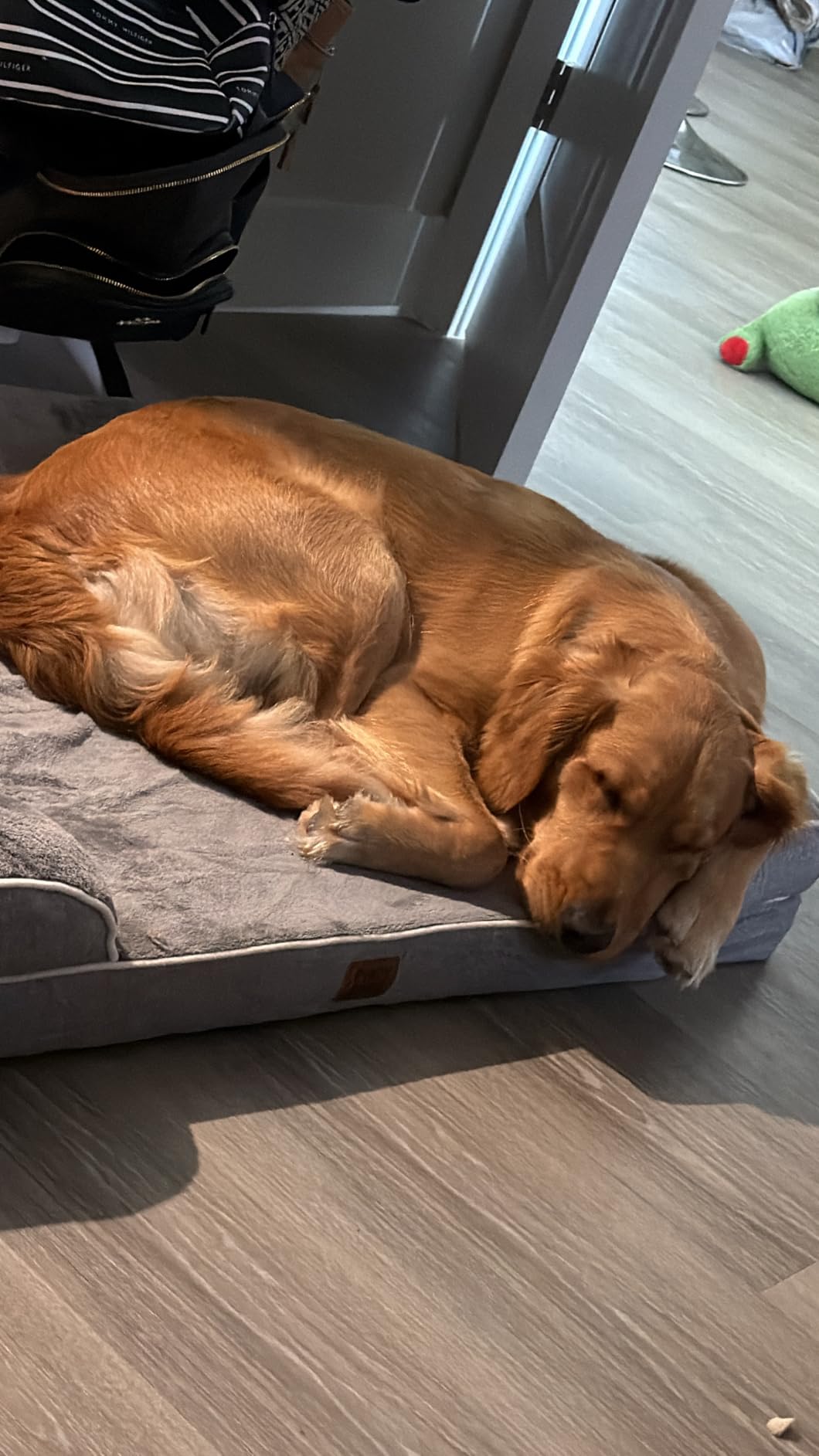 EHEYCIGA Orthopedic Extra Large Dog Bed, Waterproof Washable XL Pet Bed 44