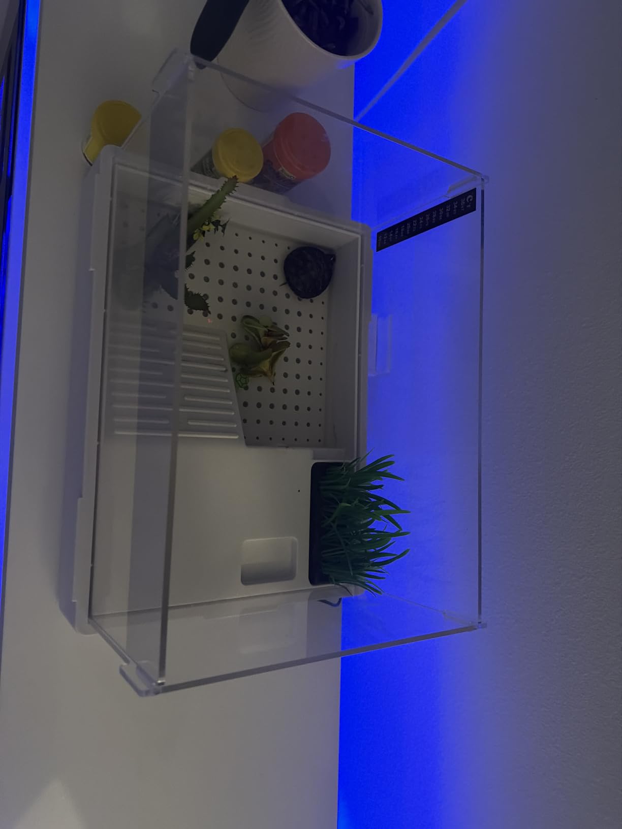 MoonOrange Small Turtle Tank Kit(Tank+Light+Filter), Acrylic Turtle Tank Starter Kit with Bask Platform, Bottom Drain, Multi-Function Area for Small Reptiles.(White) customer photo 1