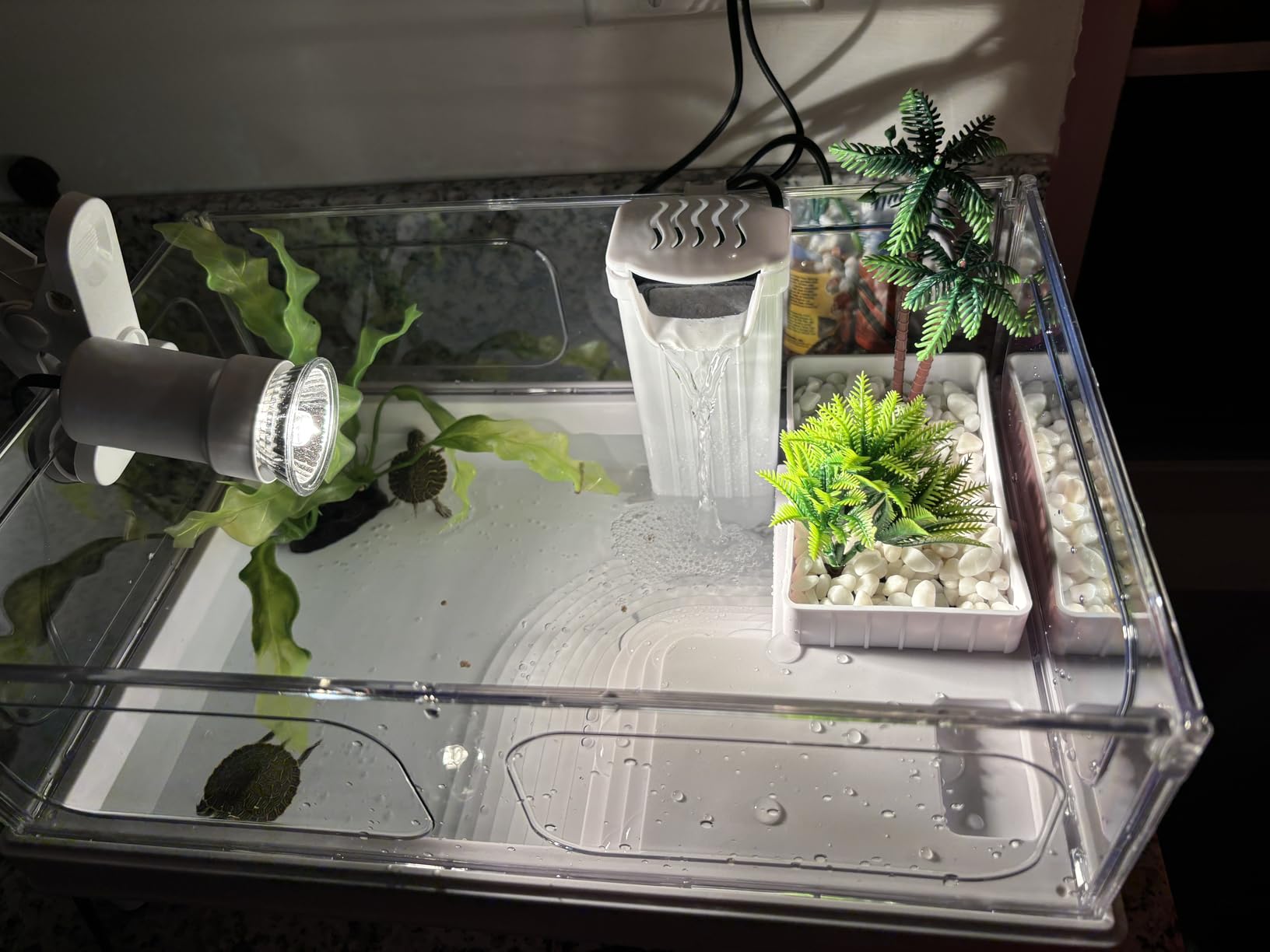 MoonOrange Small Turtle Tank Kit(Tank+Light+Filter), Acrylic Turtle Tank Starter Kit with Bask Platform, Bottom Drain, Multi-Function Area for Small Reptiles.(White) customer photo 2
