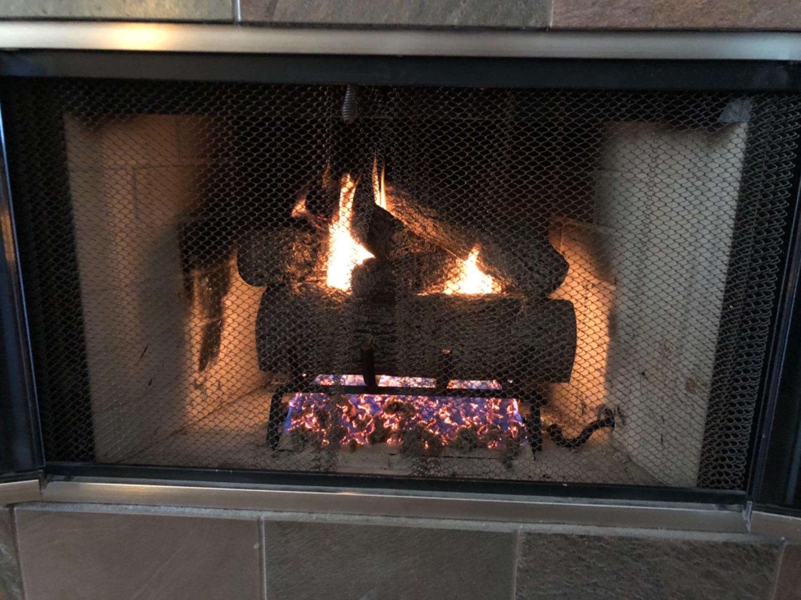 Real Fyre Live Oak 24