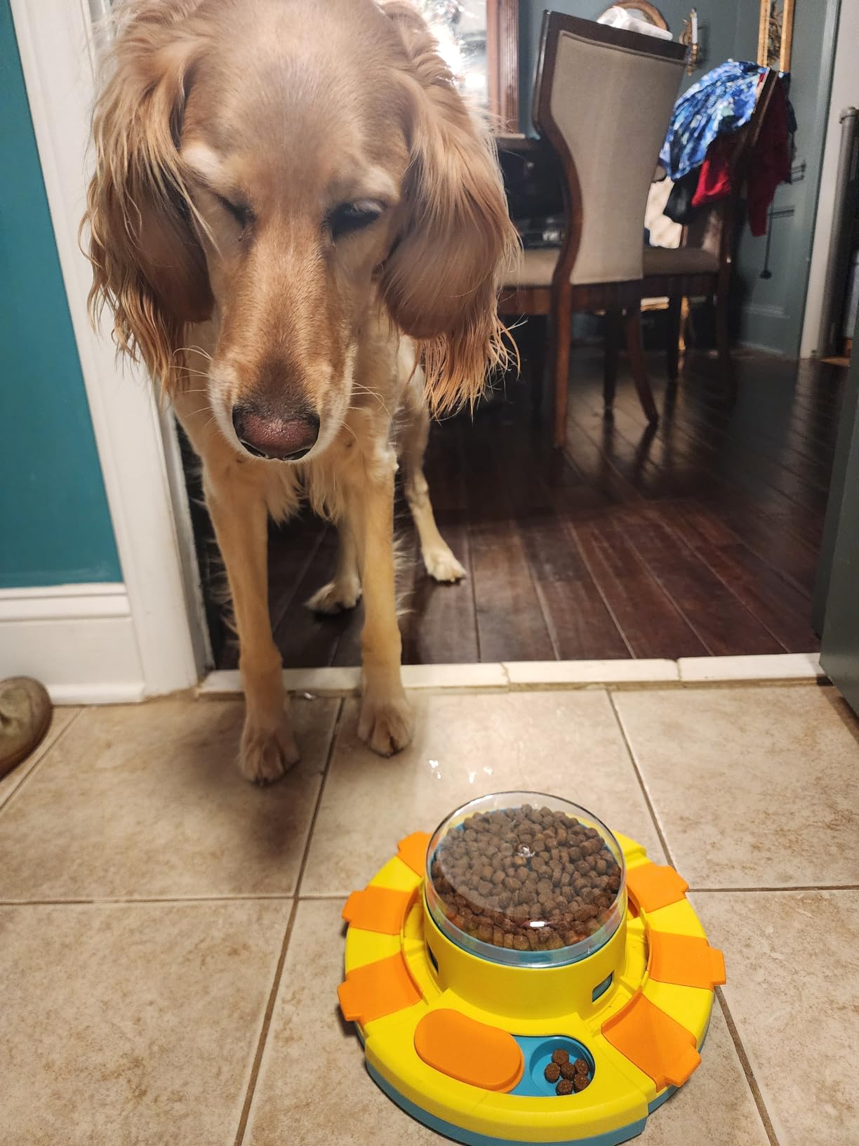 Potaroma Dog Puzzle Toy 2 Levels, Slow Feeder, Pup Food Treat Feeding Dispenser for IQ Training and Entertainment for All Breeds 4.2 Inch Height customer photo 1