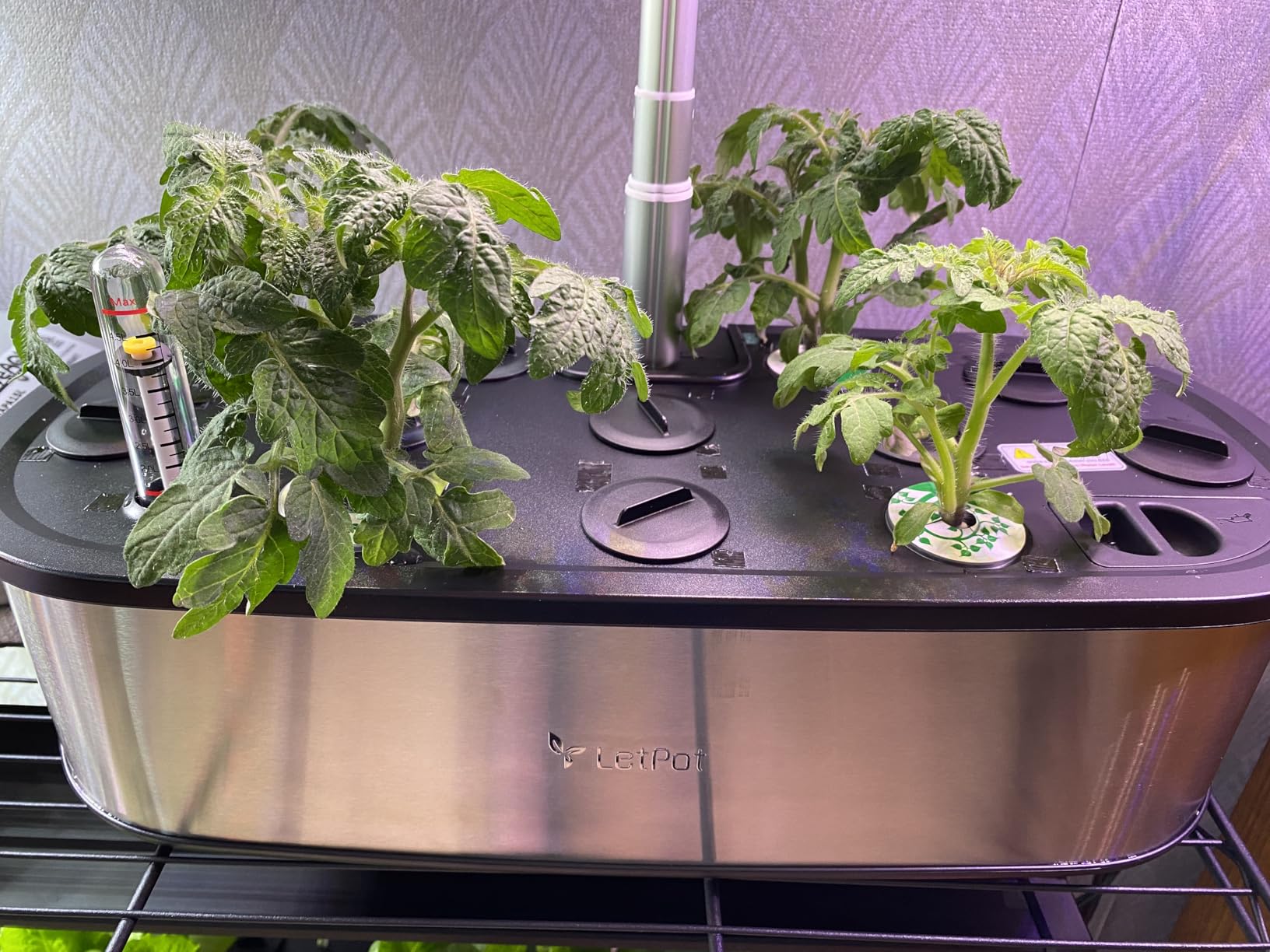 LETPOT LPH-SE Hydroponics Growing System, 12 Pods Smart Herb Garden Kit Indoor, Indoor Garden, APP & WiFi Controlled, with 24W Growing LED, 5.5L Water Tank, Pump System, Automatic Timer | APP & WiFi Controlled, 24W Growing LED, 5.5L Water Tank, Pump System, Automatic Timer customer photo 1