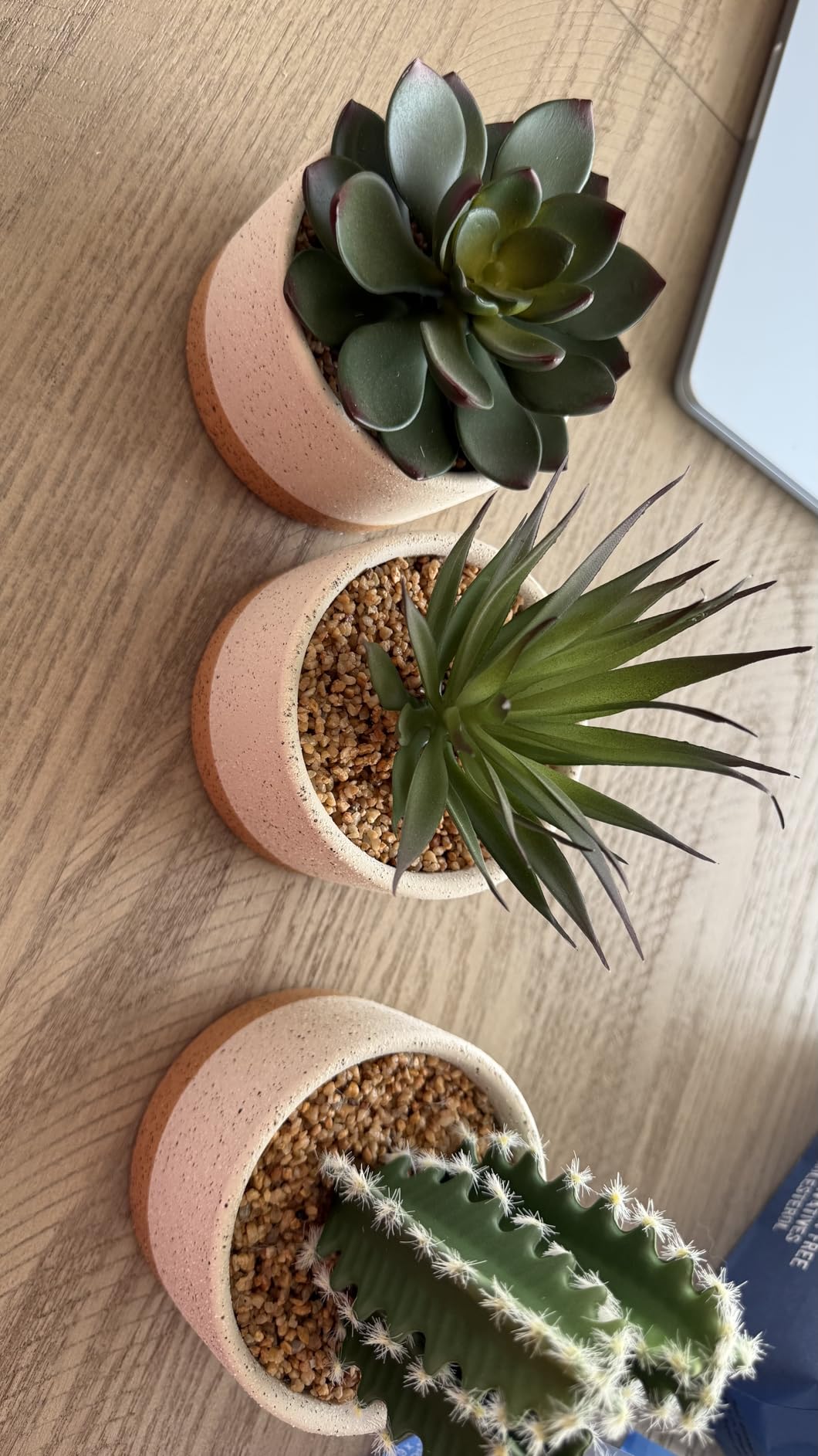 Artificial Succulent Plants in Ceramic Pots Set of 3 customer photo 1