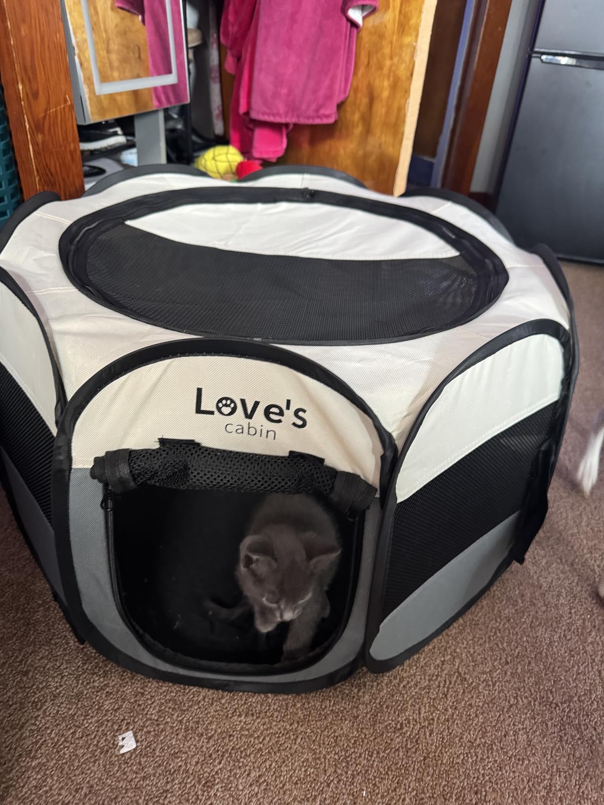 Love's cabin Pet Puppy Dog Playpen, Small Dog Tent Crates Cage Indoor/Outdoor, Portable Playpen for Cat, Foldable Pop Up Dog Kennel Playpen with Carring Case, Removable Zipper Top, Grey customer photo 2