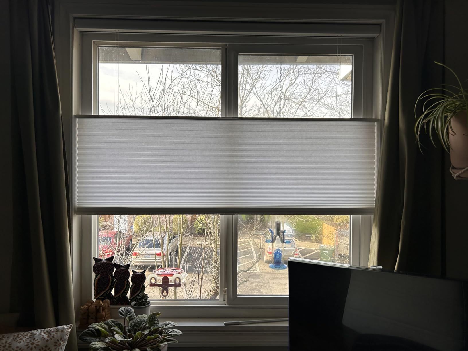 Persilux Custom Size Cellular Shades Top Down Bottom Up Cordless Light Filtering Honeycomb Blinds Thermal UV Protection Energy Saving Pleated Window Shades for Indoor Windows Easy to Install White customer photo 1