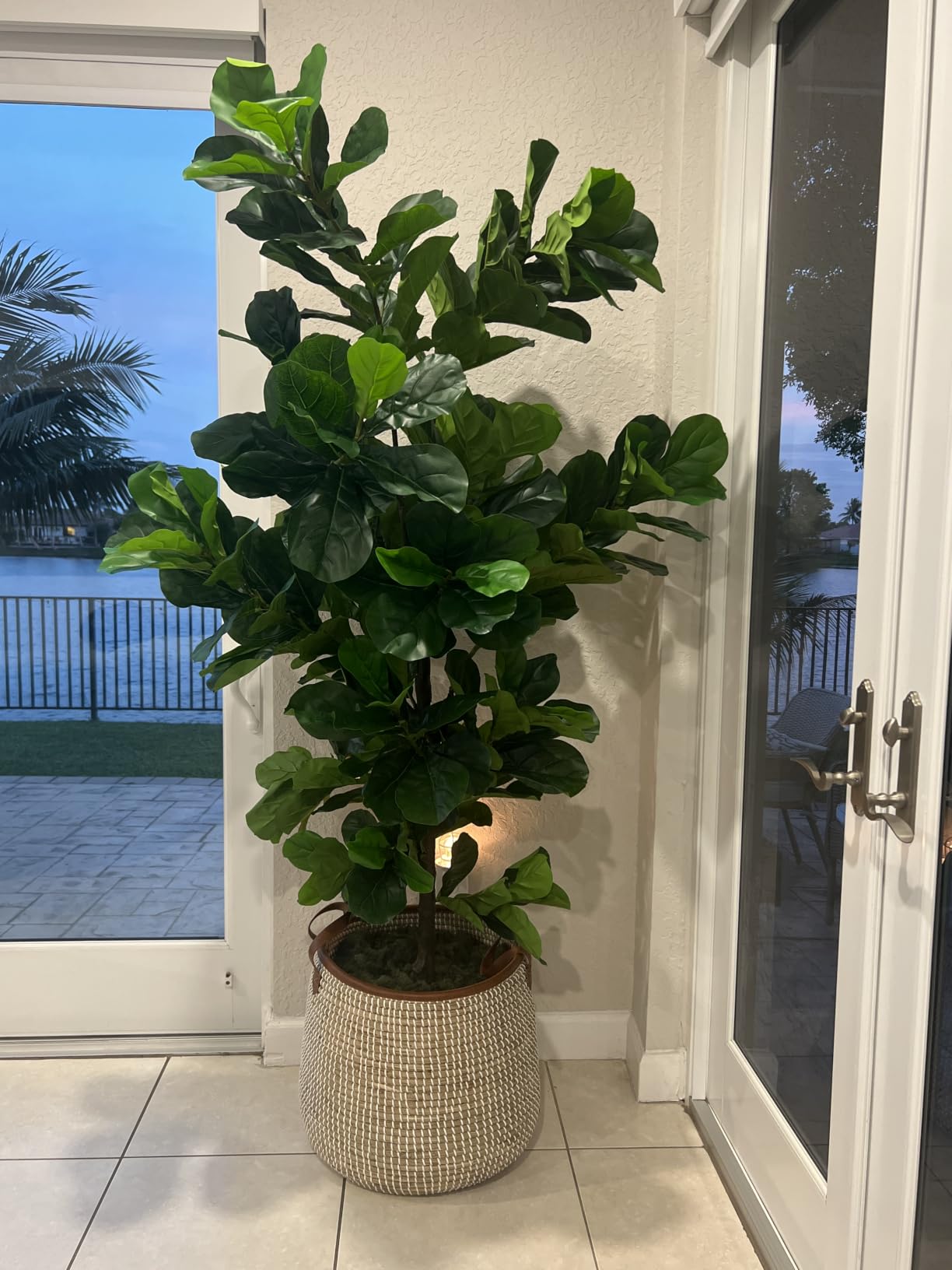 FLOWORLD Fiddle Leaf Fig Tree 6ft Tall Artificial Tree in Plastic Pot Fake Ficus Lyrata Plants with 184 Decorative Fiddle Leaves Faux Fig Trees for Home Office Living Room Decor Indoor Outdoor customer photo 1